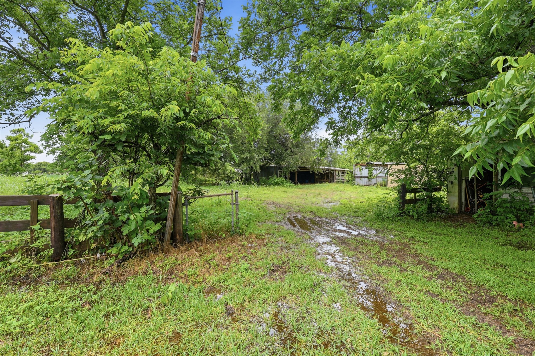 7611 King Street Manvel, TX 77578 - Photo 6 of 30