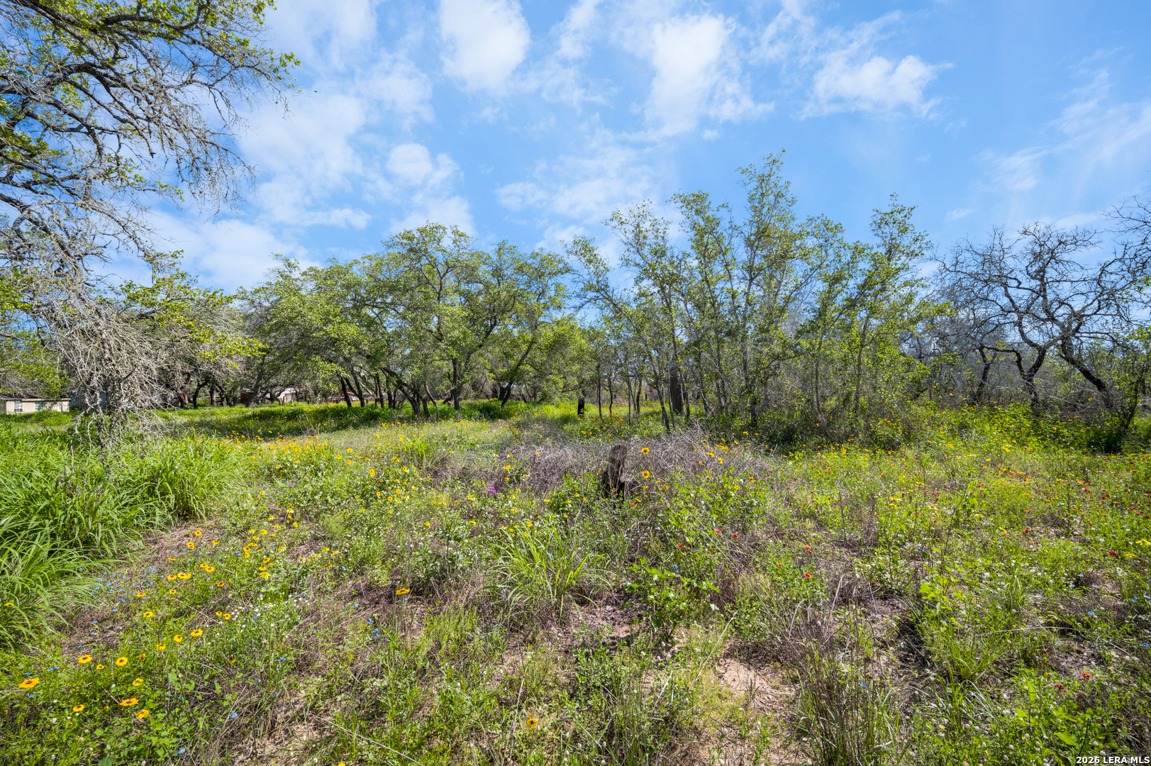230 P R D65 Poteet, TX 78065 - Photo 6 of 29