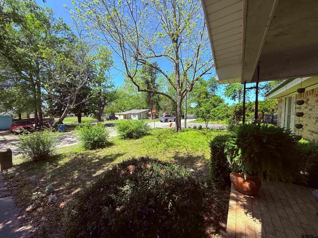 a view of backyard with green space