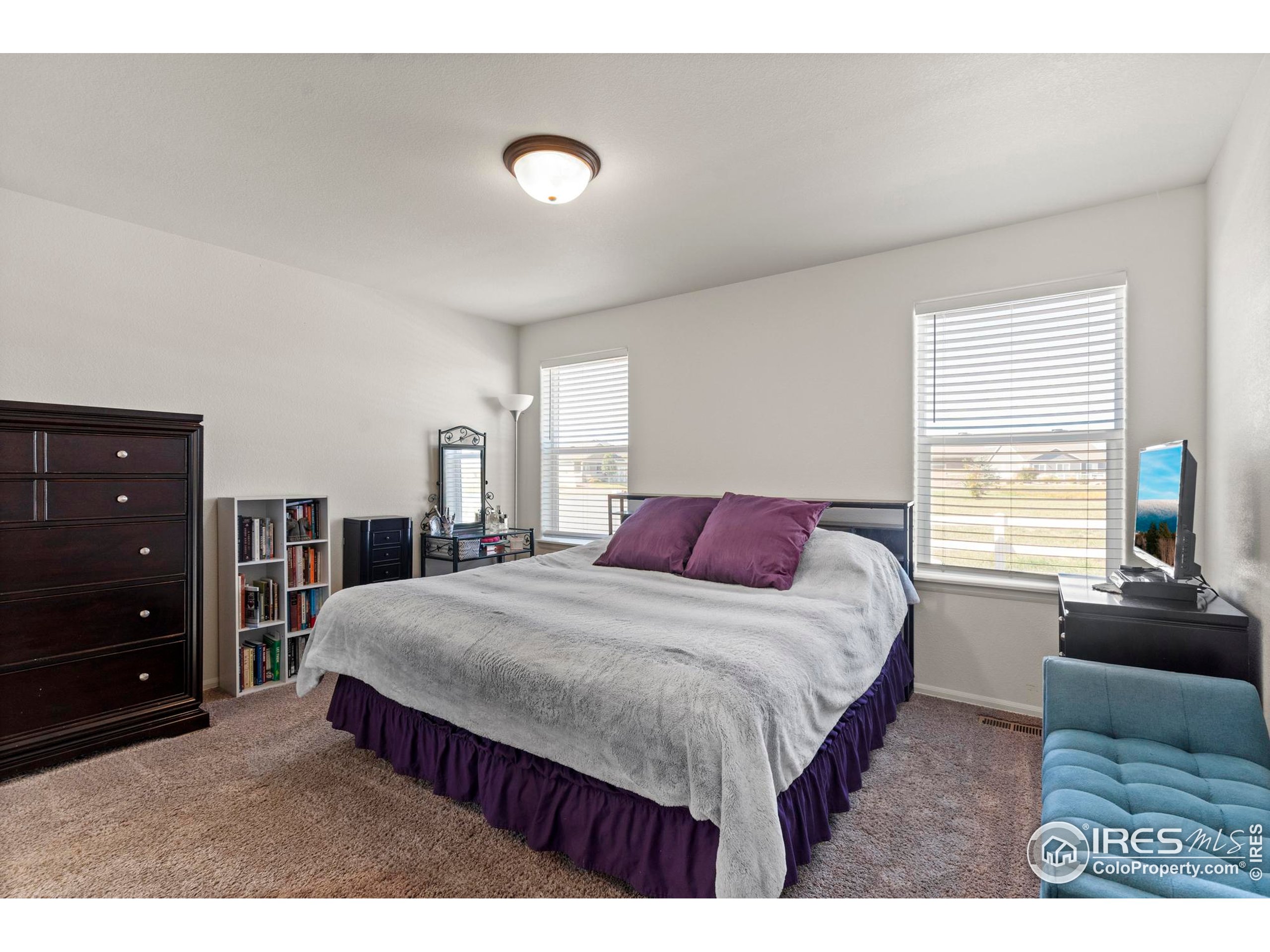 941 Barasingha Street Severance, CO 80550 - Photo 18 of 46 a bedroom with a bed and a dresser