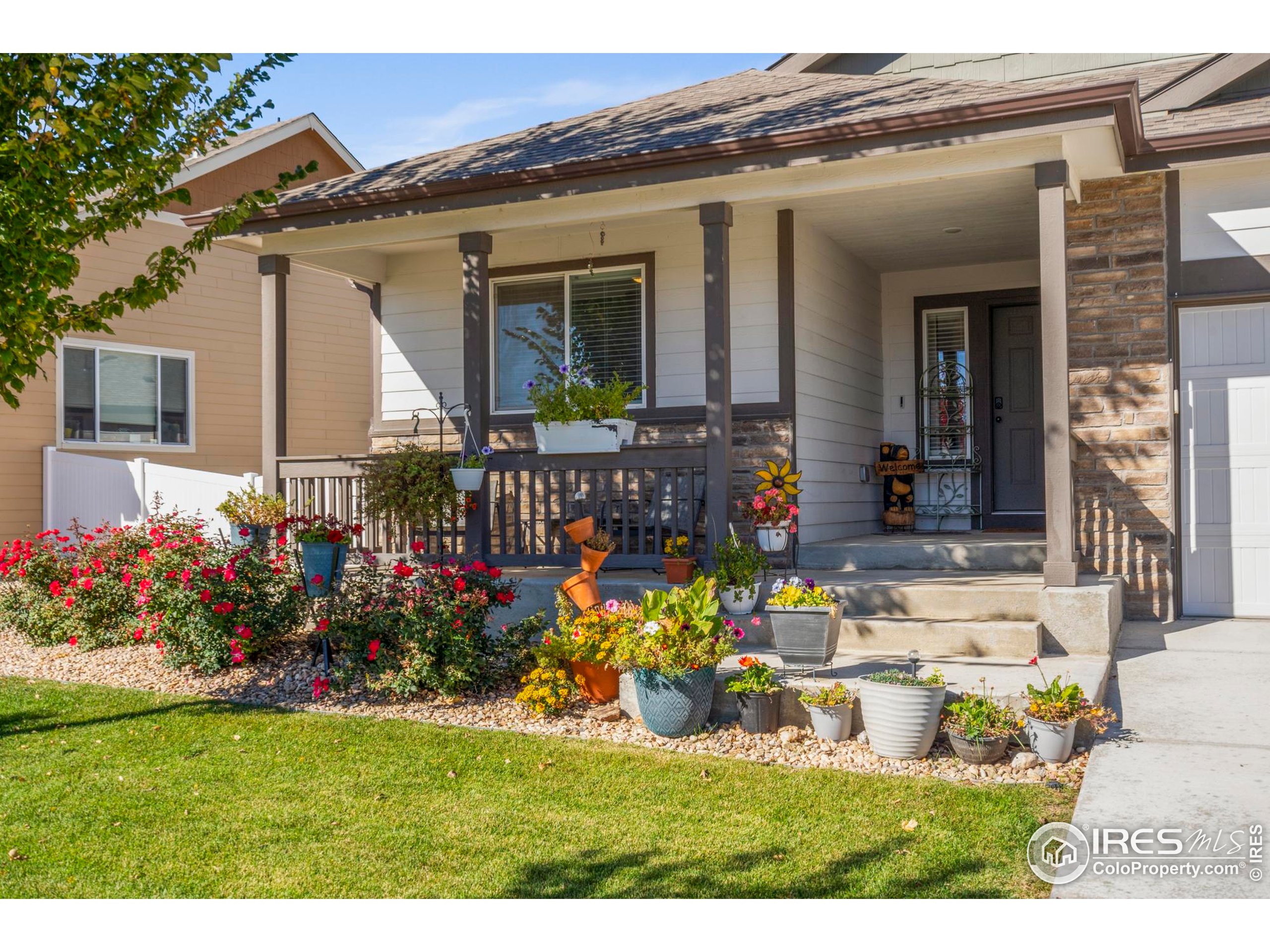 941 Barasingha Street Severance, CO 80550 - Photo 5 of 46 a view of front of house with outdoor seating