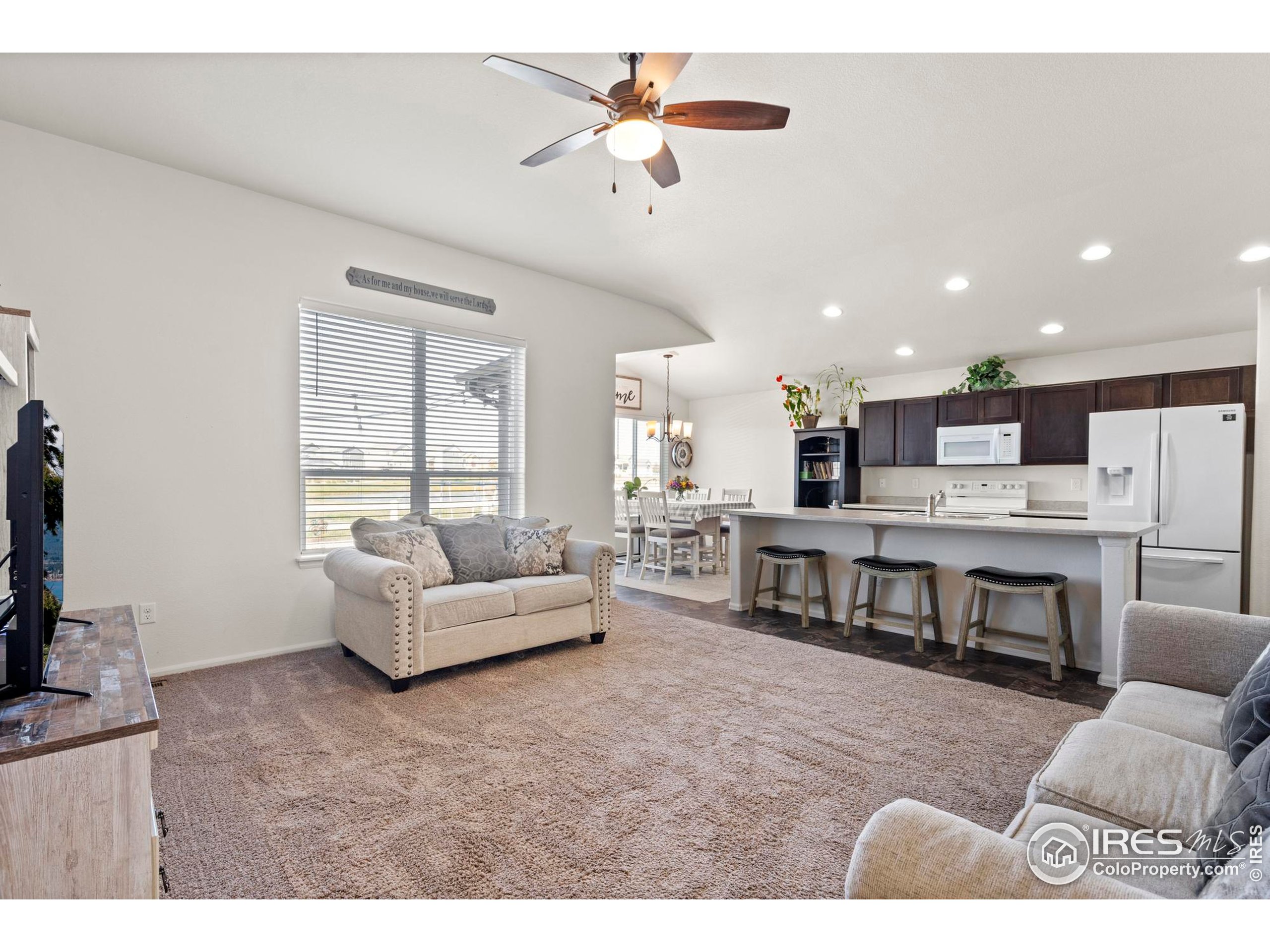 941 Barasingha Street Severance, CO 80550 - Photo 8 of 46 a living room with furniture and a flat screen tv