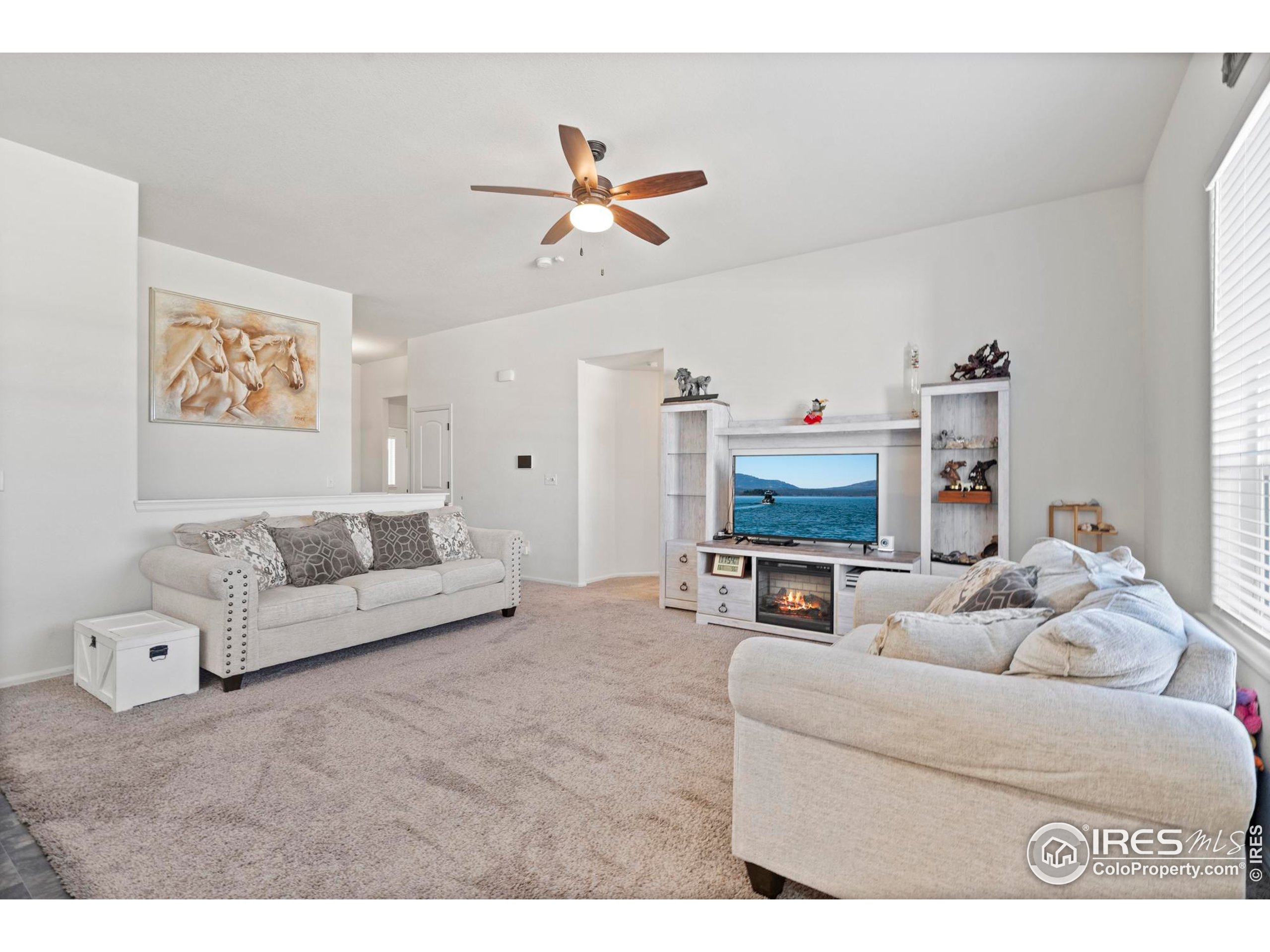 941 Barasingha Street Severance, CO 80550 - Photo 10 of 46 a living room with furniture and a flat screen tv