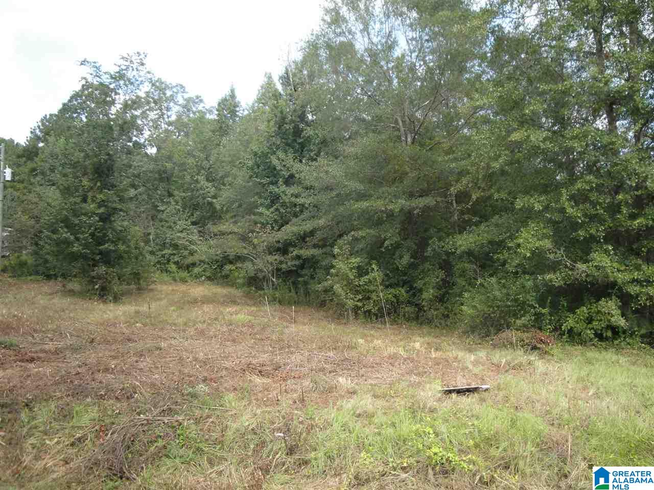 0 Hitching Post Circle, Unit 4 Cropwell, AL 35054 - Photo 2 of 4