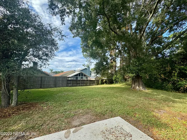 a view of a big yard with plants and large trees