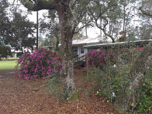 34311 Lost River Road Seminole, AL 36574 - Photo 11 of 19