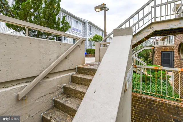 a view of a park with large trees