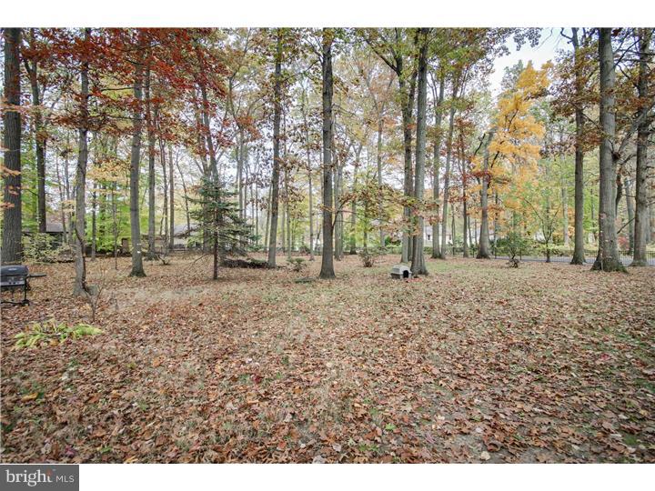 400 Sunset Road Burlington Township, NJ 08016 - Photo 23 of 25 View in Back