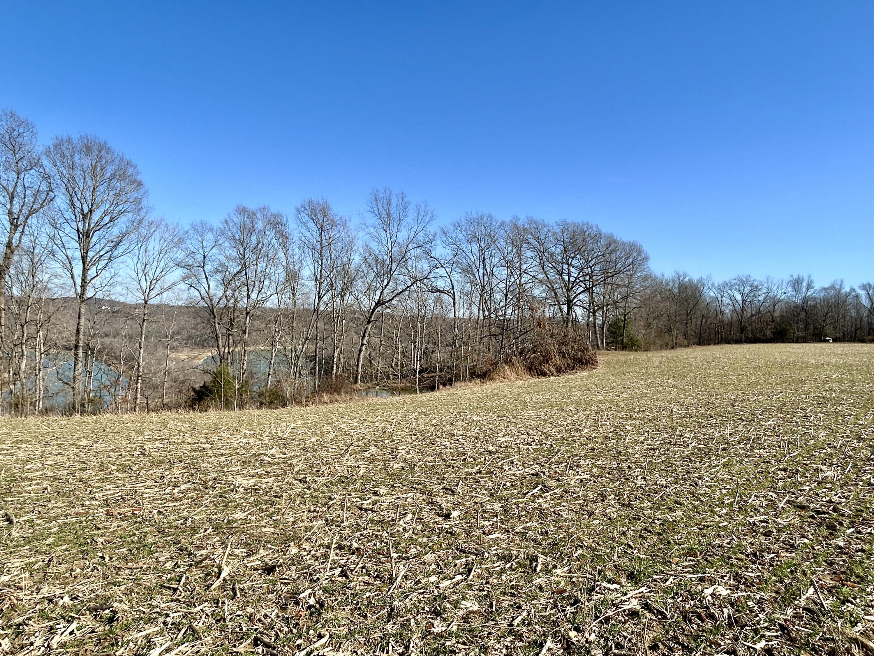 3800 Piney Grove Road Nancy, KY 42544 - Photo 5 of 15 IMG_E5533