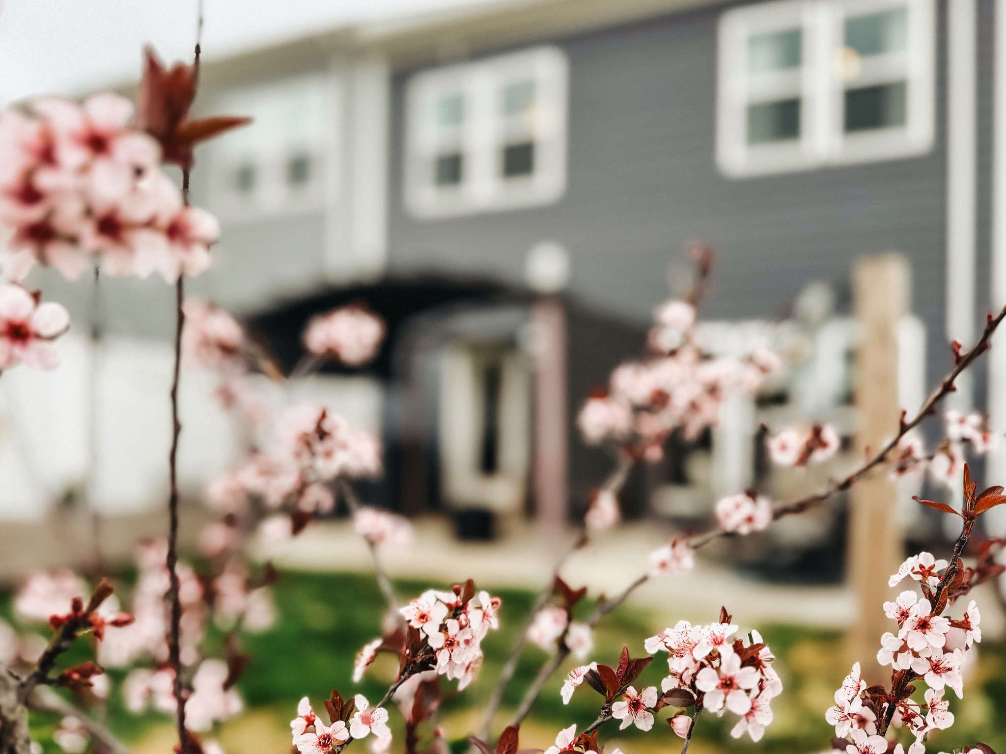 1251 June Wilde Ridge Spring Hill, TN 37174 - Photo 68 of 75