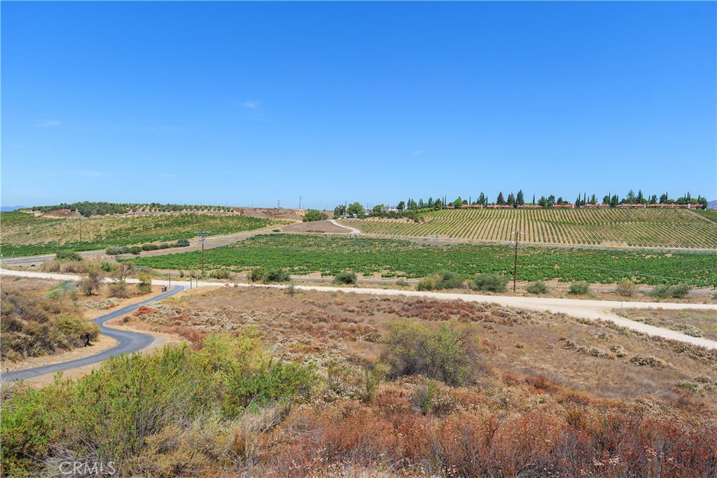 34881 Los Nogales Road Temecula, CA 92592 - Photo 44 of 50 Breathtaking View of the vineyards and winery from the barn deck at the loft. Incredibly located behind South Coast Winery.