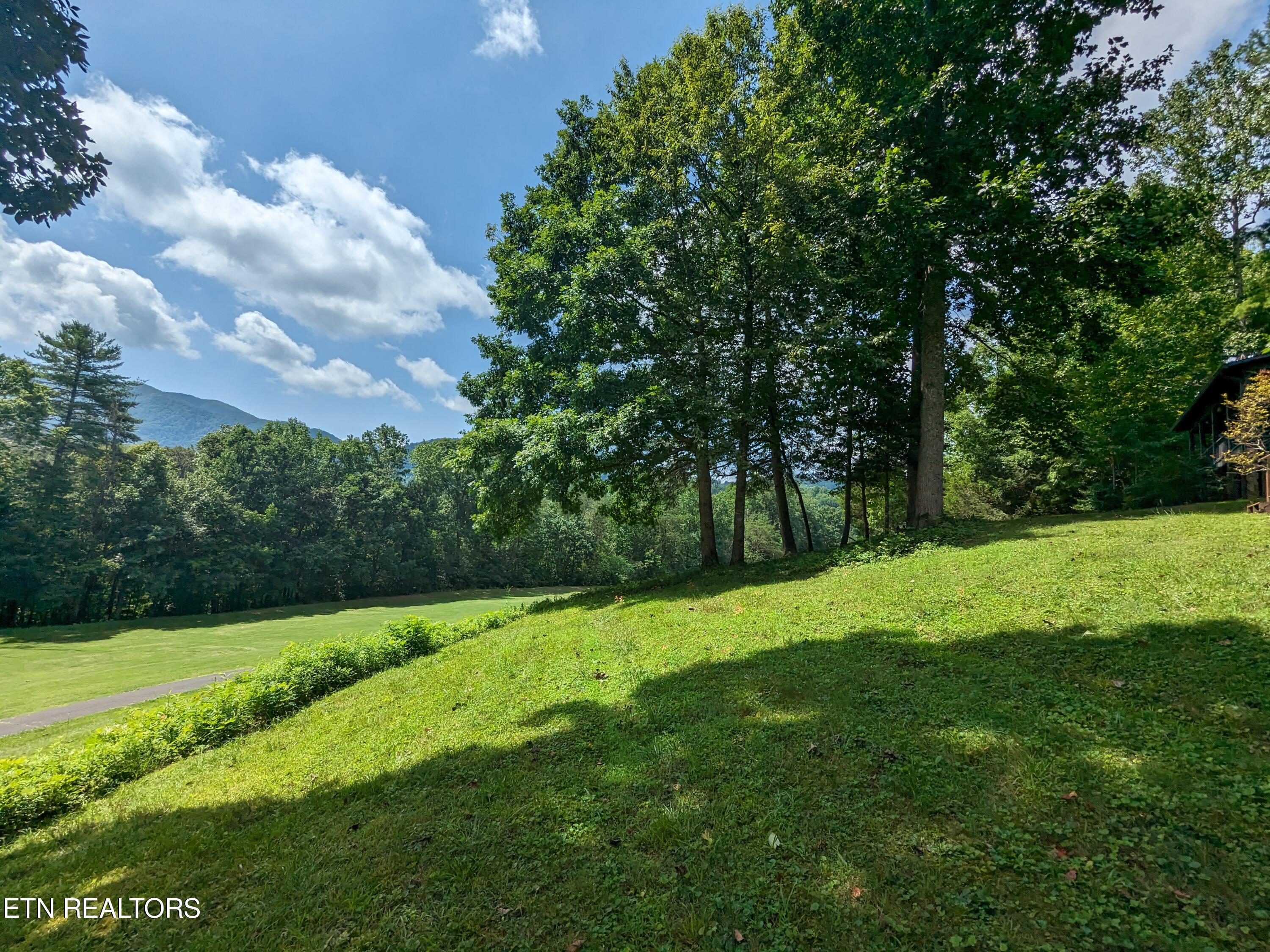 738 Hunters Run Road Townsend, TN 37882 - Photo 1 of 27 PXL_20230809_155053478