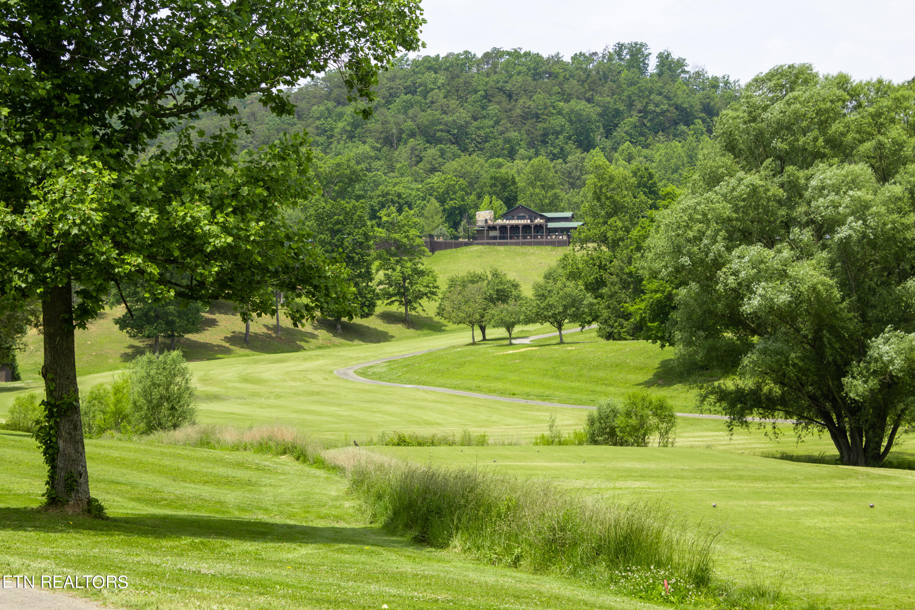 738 Hunters Run Road Townsend, TN 37882 - Photo 11 of 27 IMG_2134