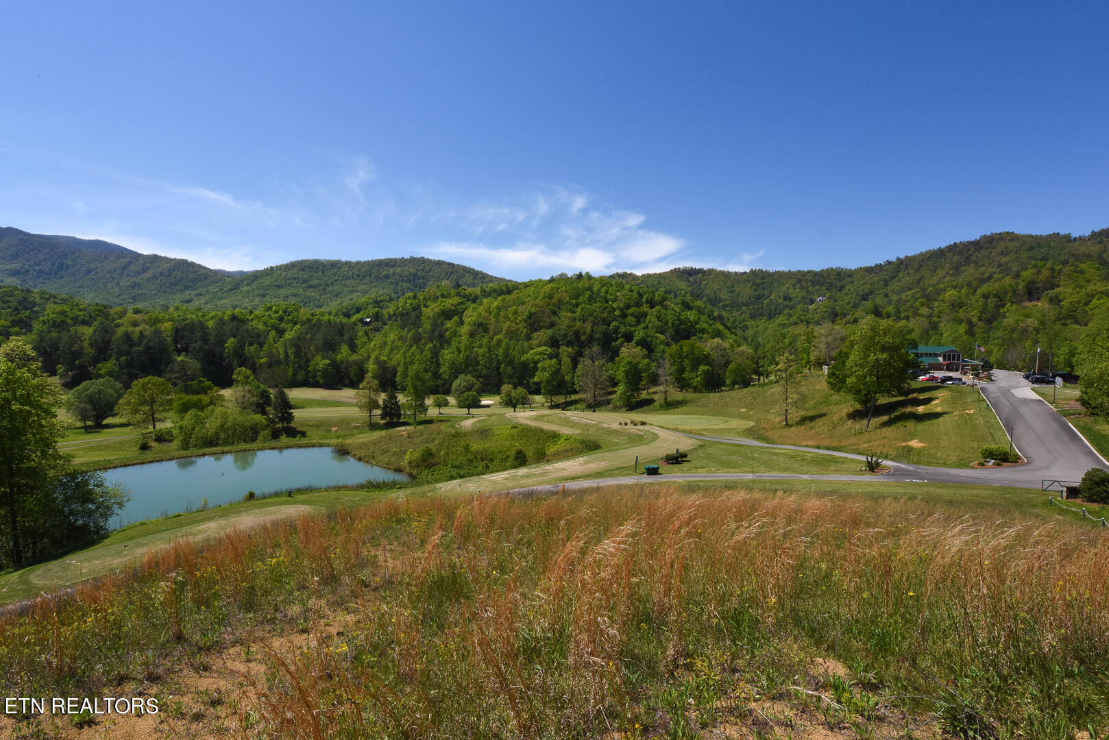 738 Hunters Run Road Townsend, TN 37882 - Photo 12 of 27 DSC_1261