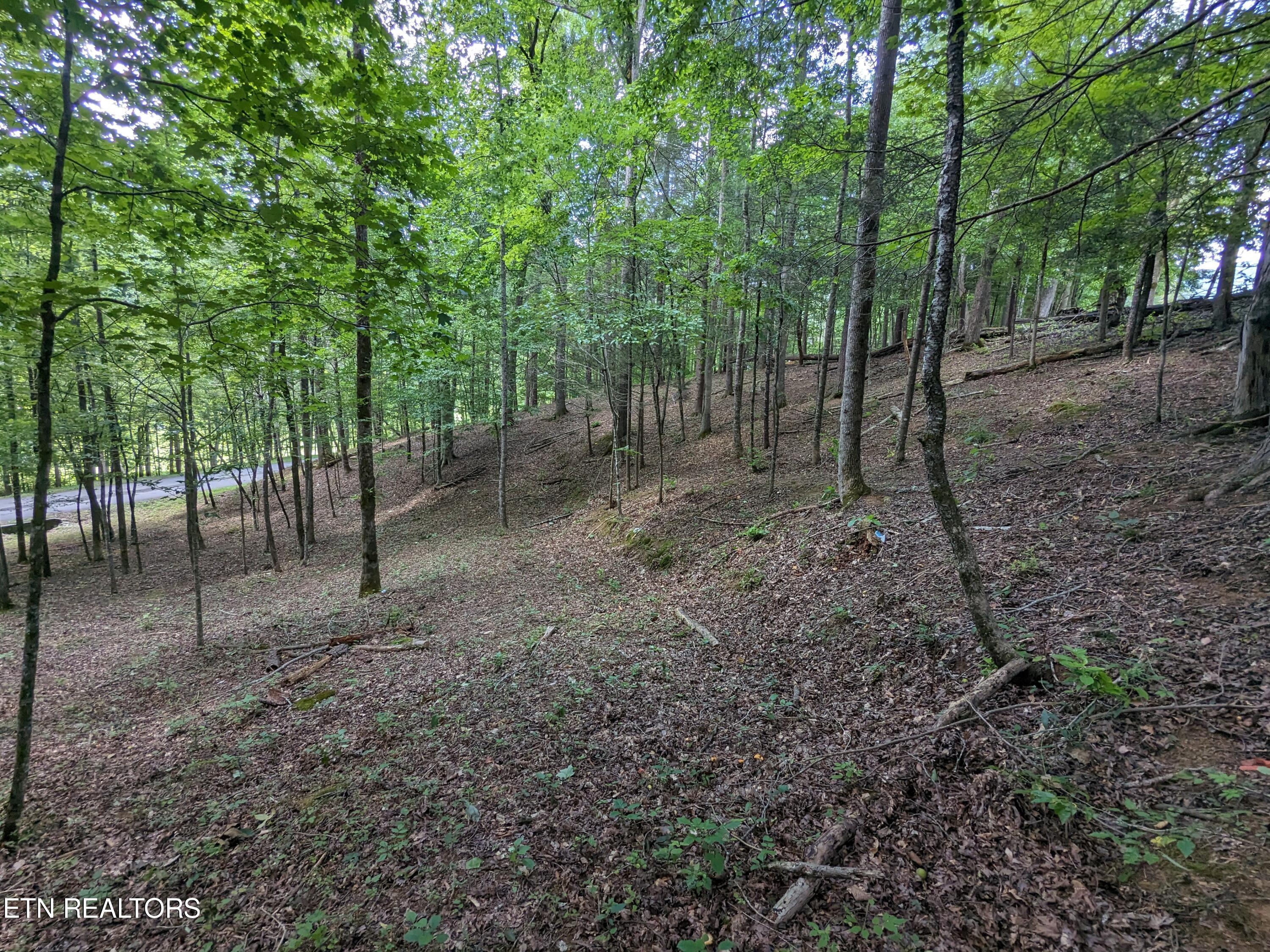 738 Hunters Run Road Townsend, TN 37882 - Photo 14 of 27 PXL_20230809_154434091