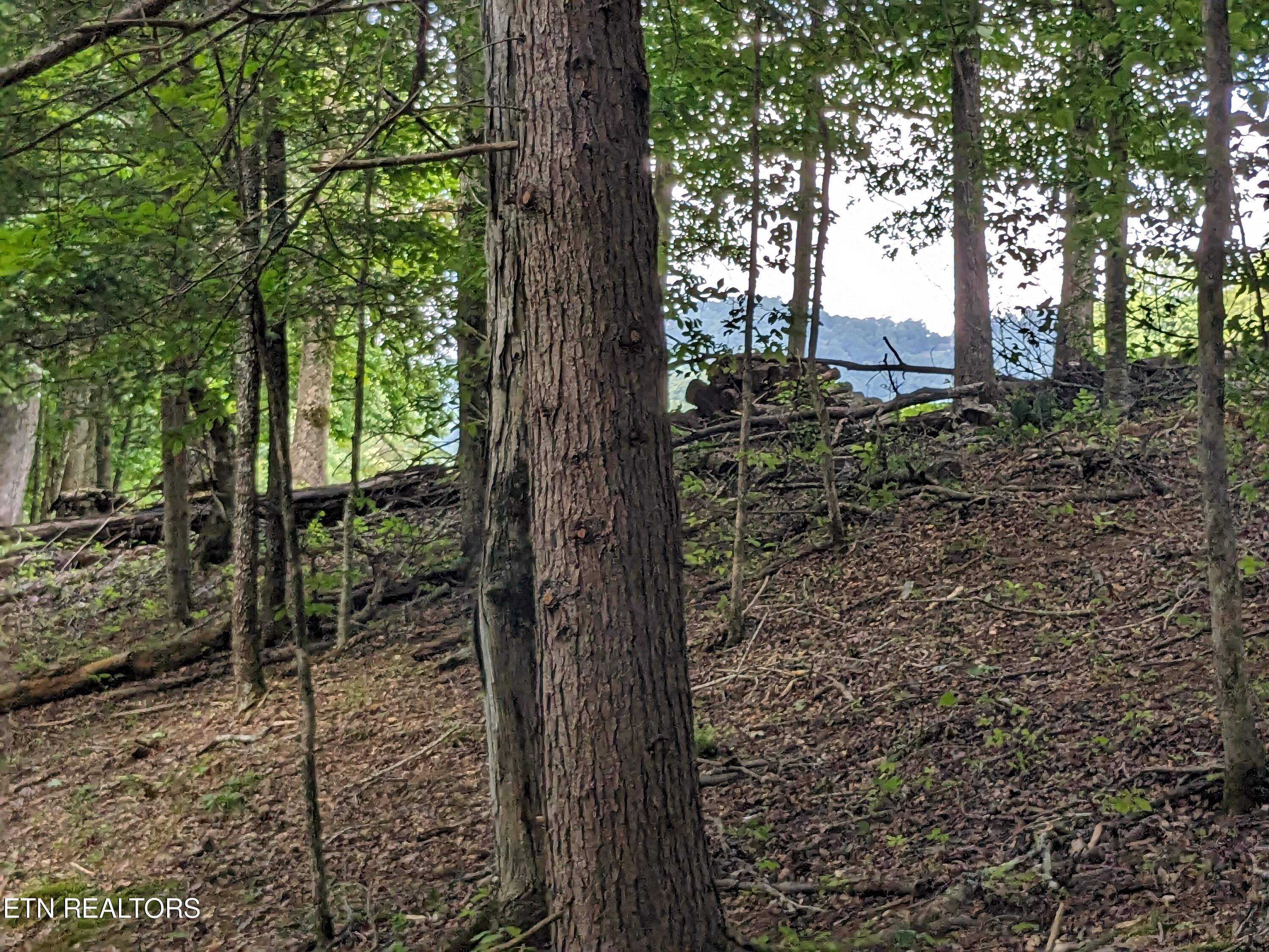 738 Hunters Run Road Townsend, TN 37882 - Photo 15 of 27 PXL_20230809_154440087