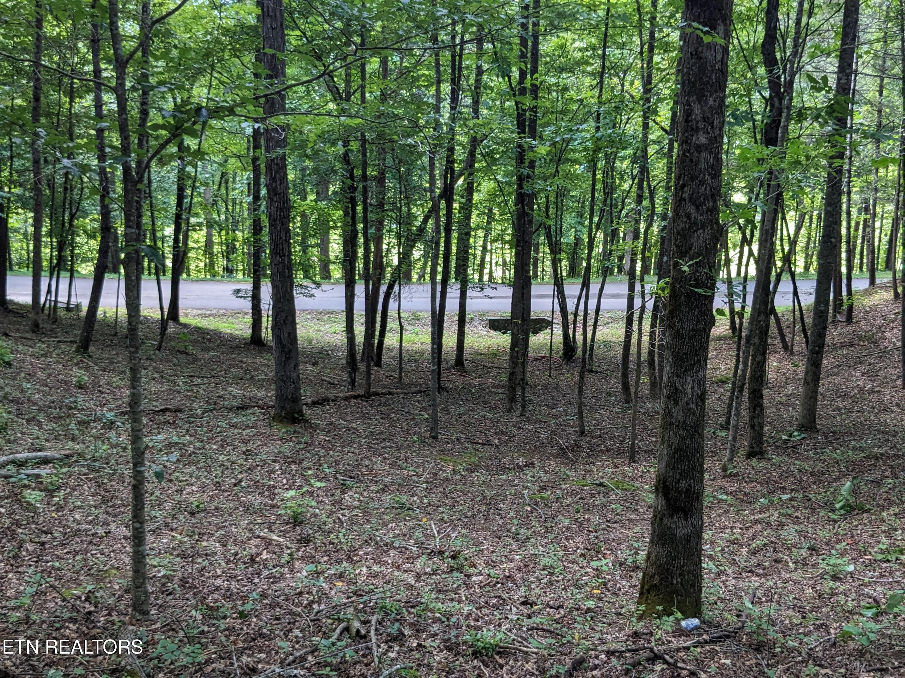 738 Hunters Run Road Townsend, TN 37882 - Photo 20 of 27 PXL_20230809_154451298