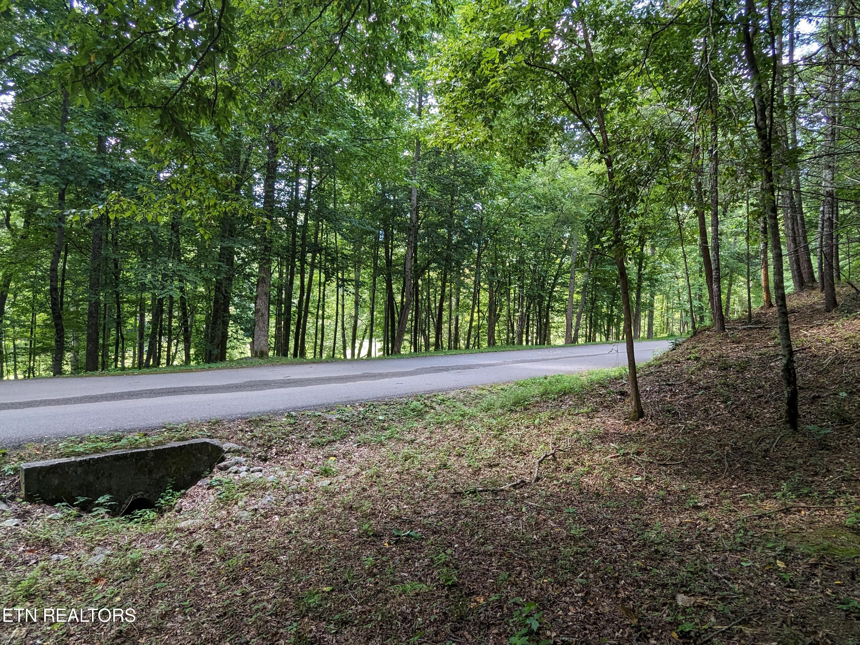 738 Hunters Run Road Townsend, TN 37882 - Photo 21 of 27 PXL_20230809_154540738