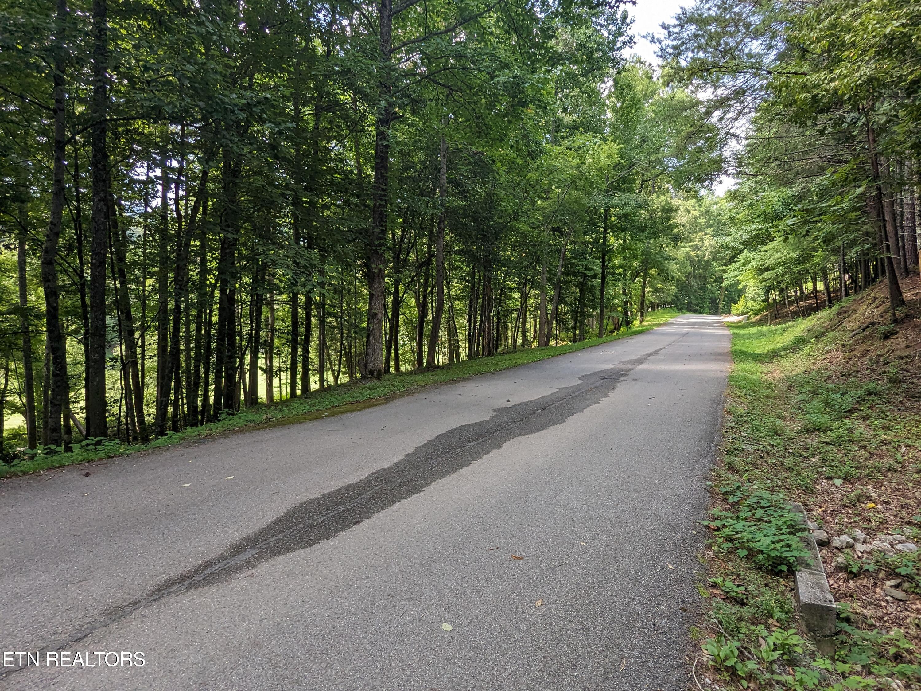 738 Hunters Run Road Townsend, TN 37882 - Photo 22 of 27 PXL_20230809_154555291