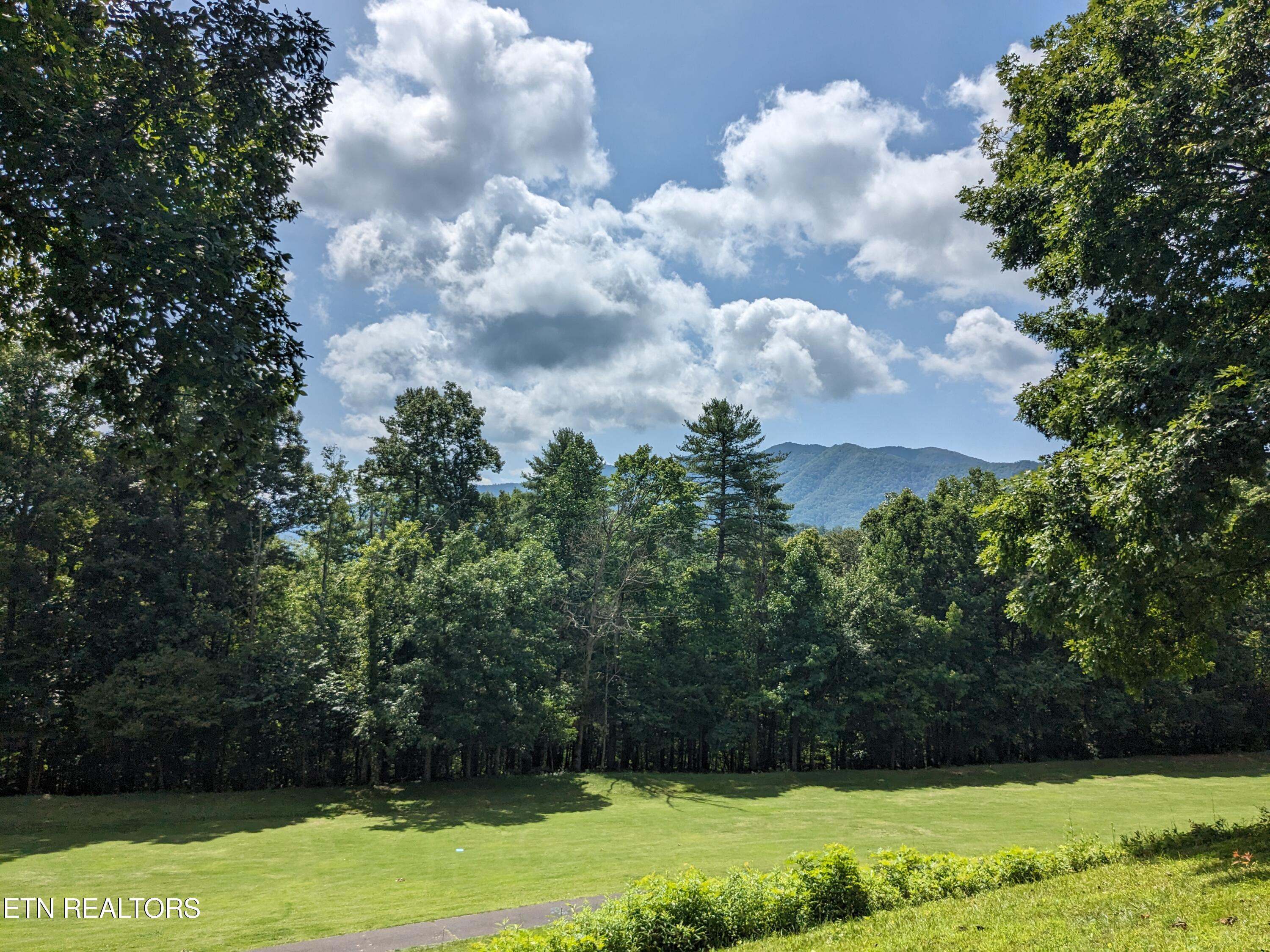 738 Hunters Run Road Townsend, TN 37882 - Photo 23 of 27 PXL_20230809_155024390