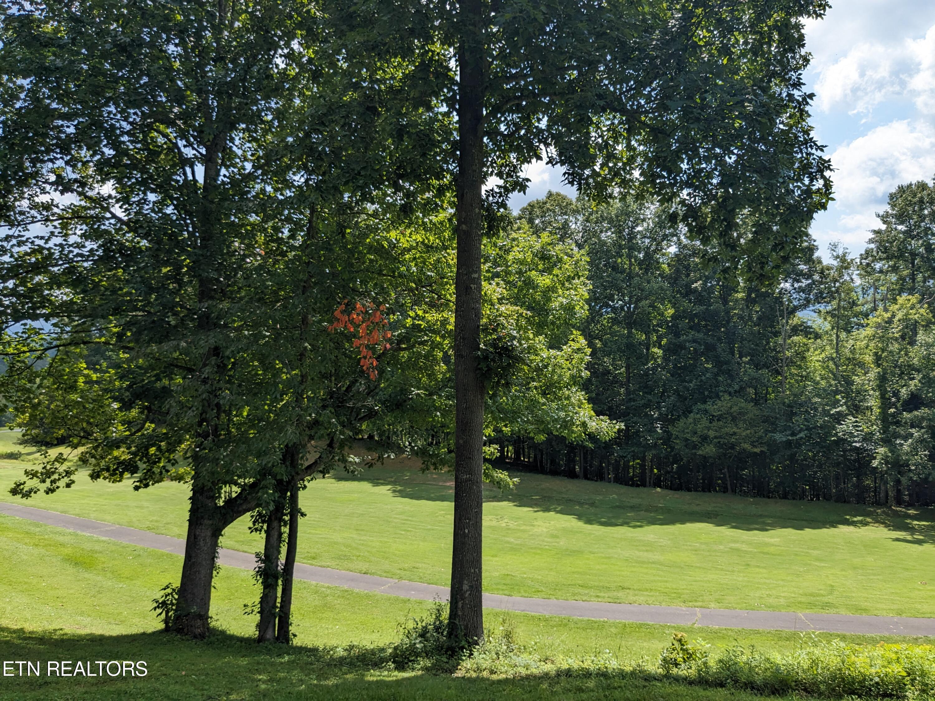 738 Hunters Run Road Townsend, TN 37882 - Photo 25 of 27 PXL_20230809_155028892