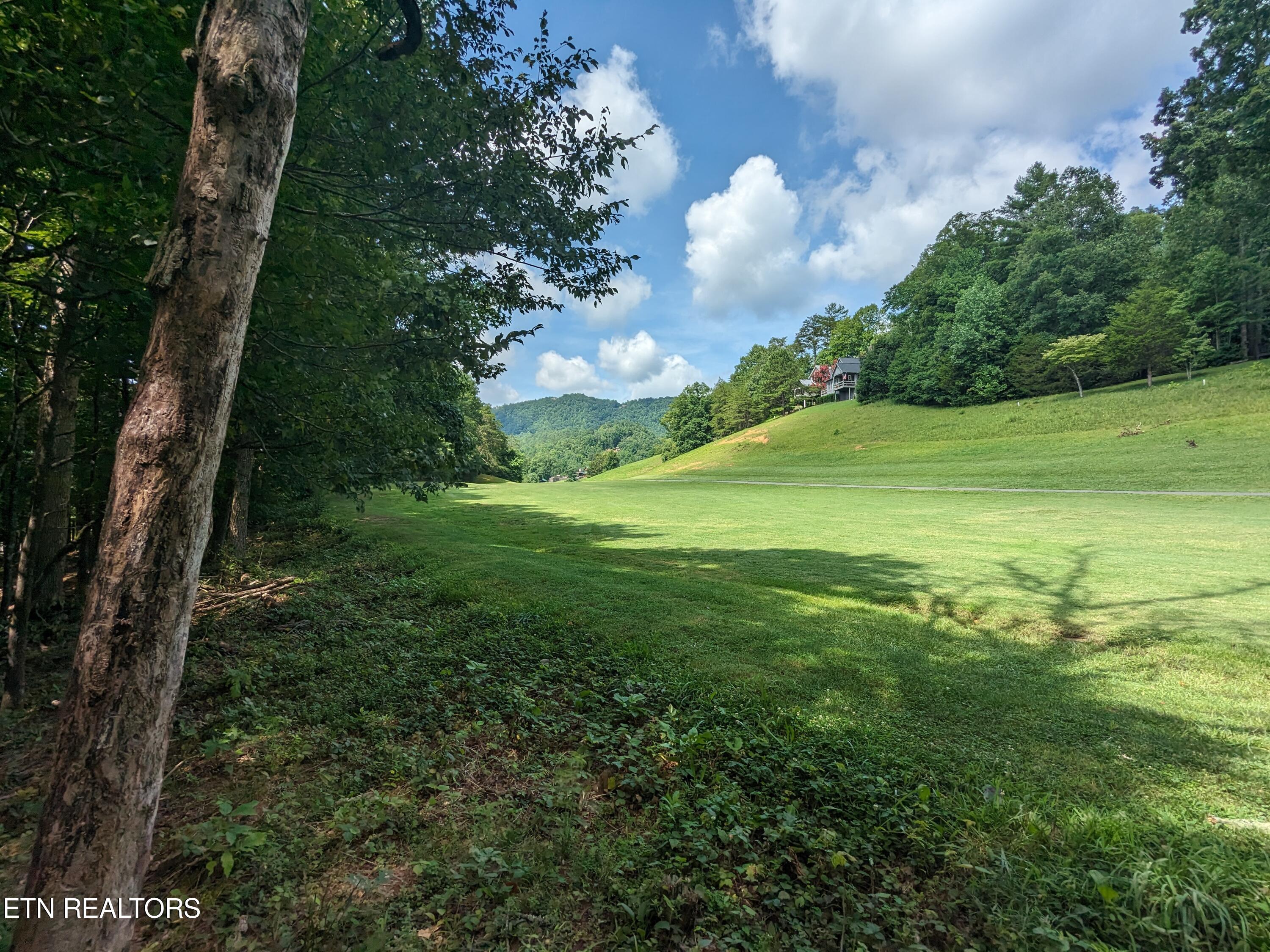 738 Hunters Run Road Townsend, TN 37882 - Photo 3 of 27 PXL_20230809_154203885
