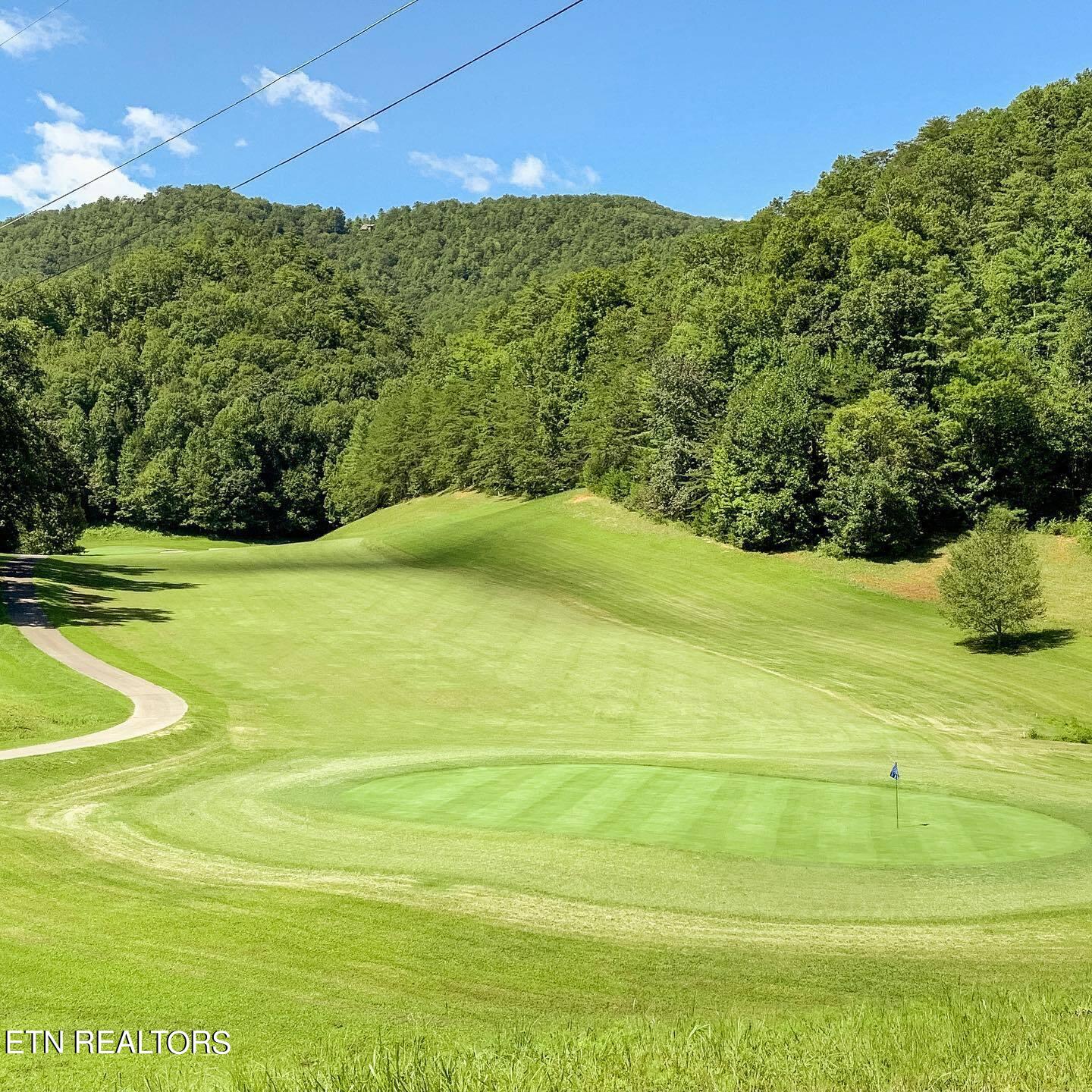 738 Hunters Run Road Townsend, TN 37882 - Photo 9 of 27 69455631_2298607456914728_54666814257155