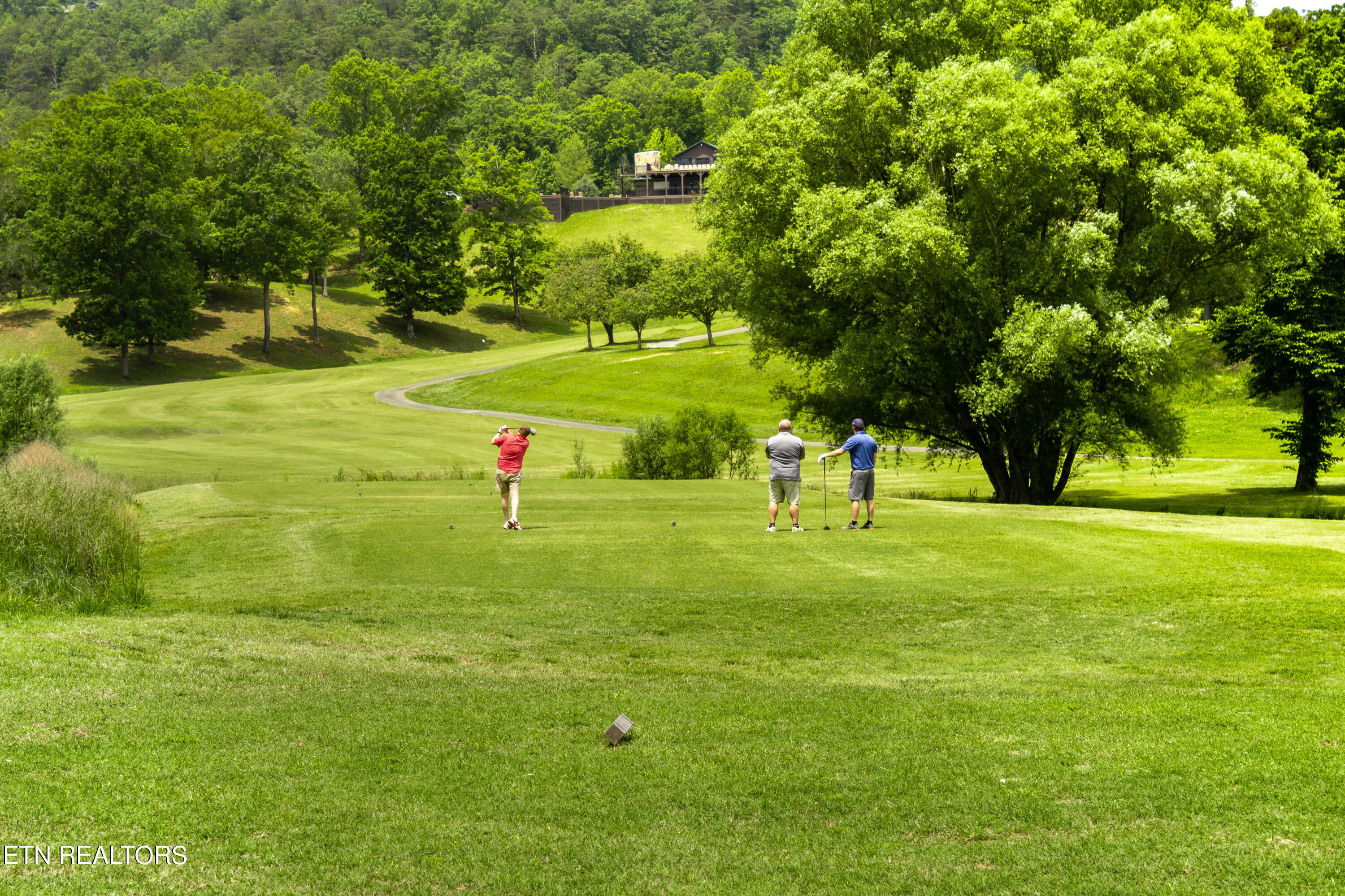 738 Hunters Run Road Townsend, TN 37882 - Photo 10 of 27 IMG_2133
