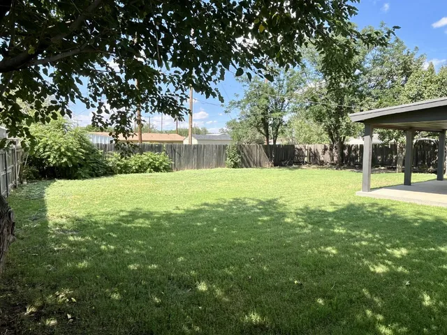 a view of a tree in a yard