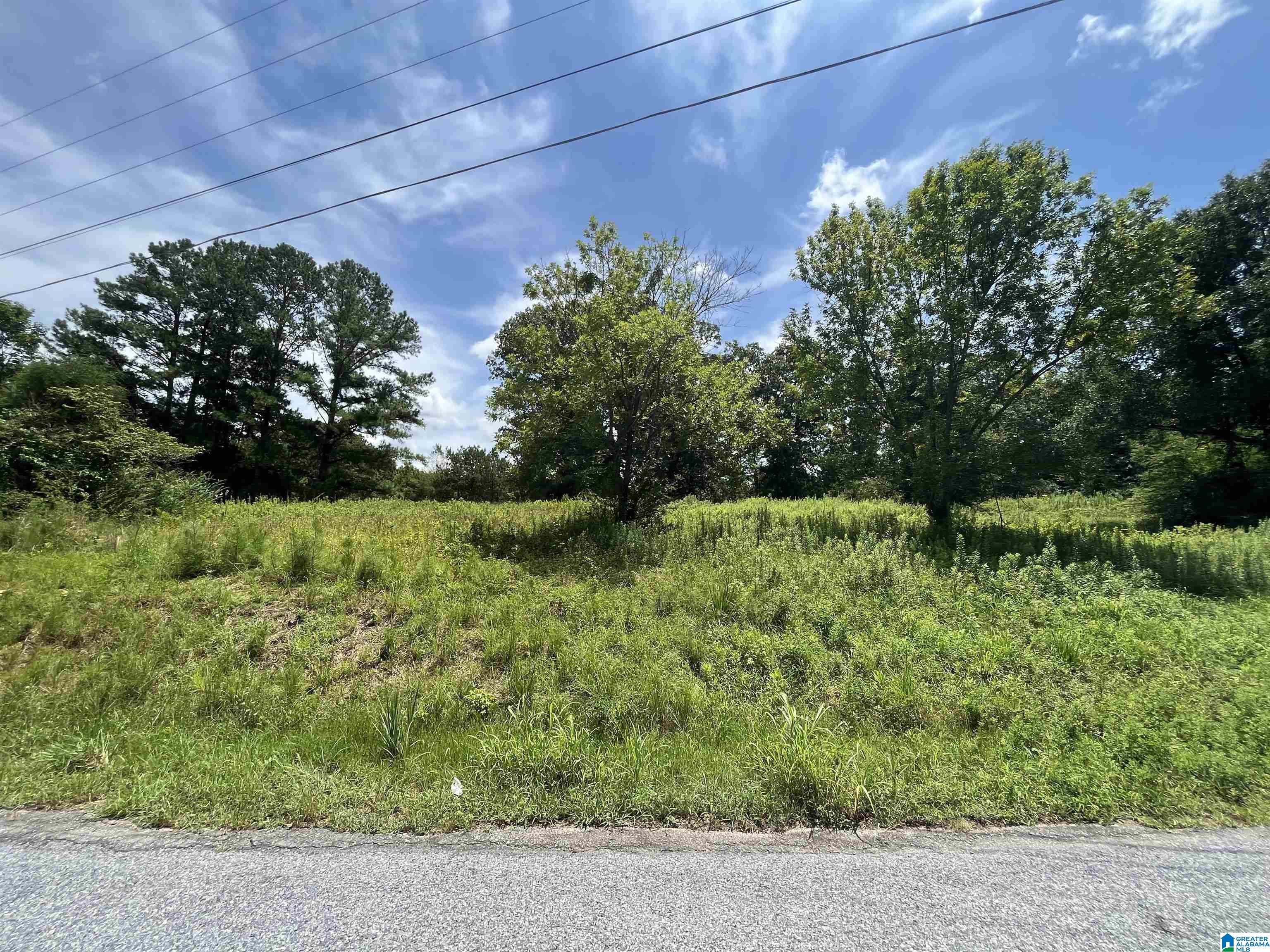0 Meadow River Road, Unit 1 Talladega, AL 35160 - Photo 1 of 9