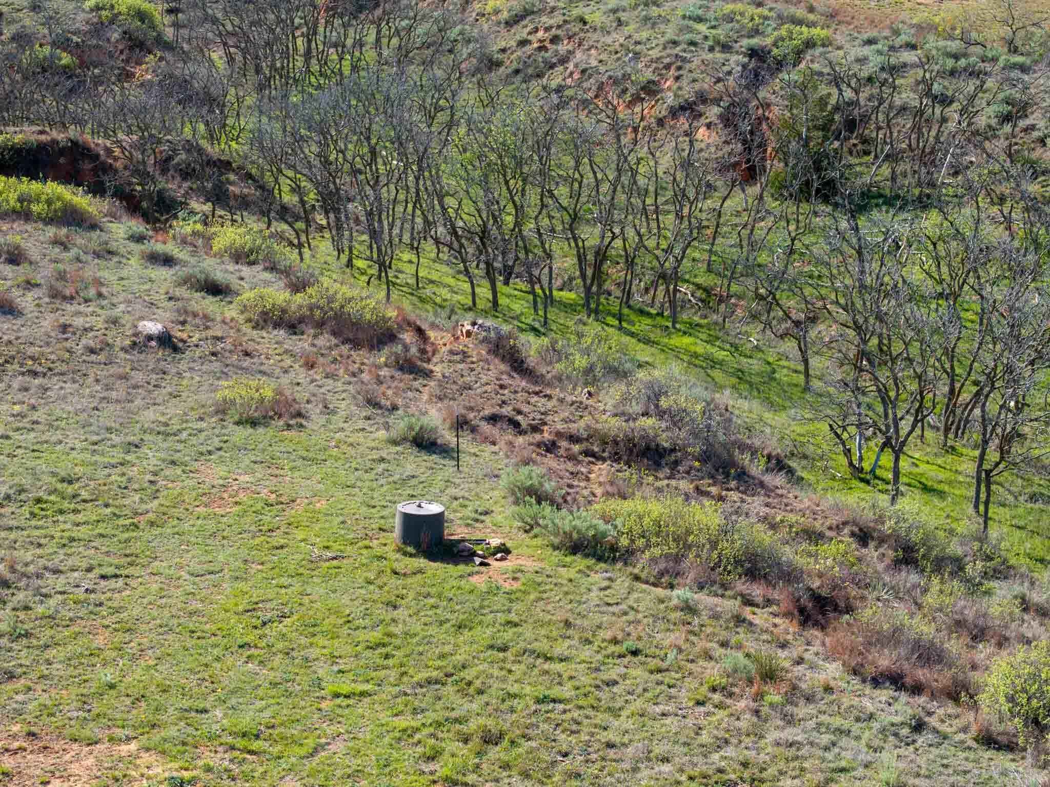 140 Mm Ranch Shamrock, TX 79079 - Photo 11 of 76 a view of a yard with plants and large trees