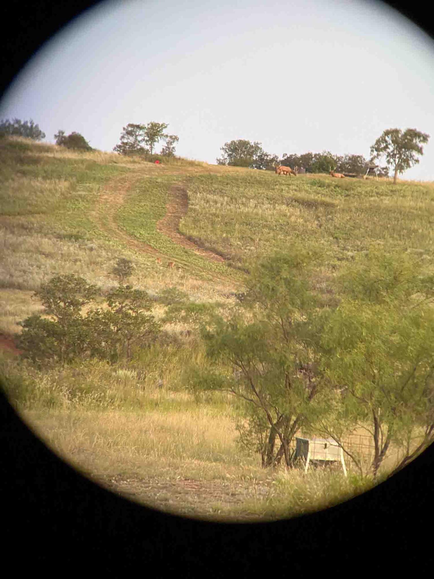 140 Mm Ranch Shamrock, TX 79079 - Photo 60 of 76 a view of an ocean
