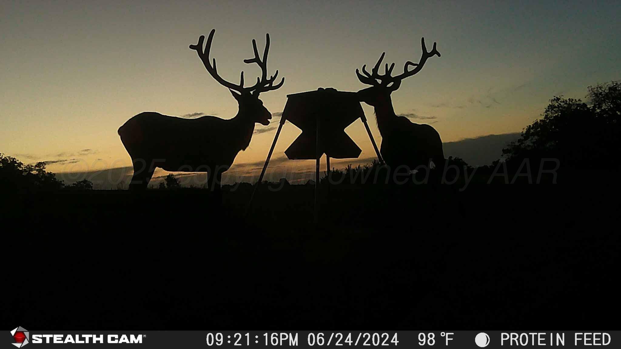 140 Mm Ranch Shamrock, TX 79079 - Photo 66 of 76 MM_Ranch_County_Road_140-66