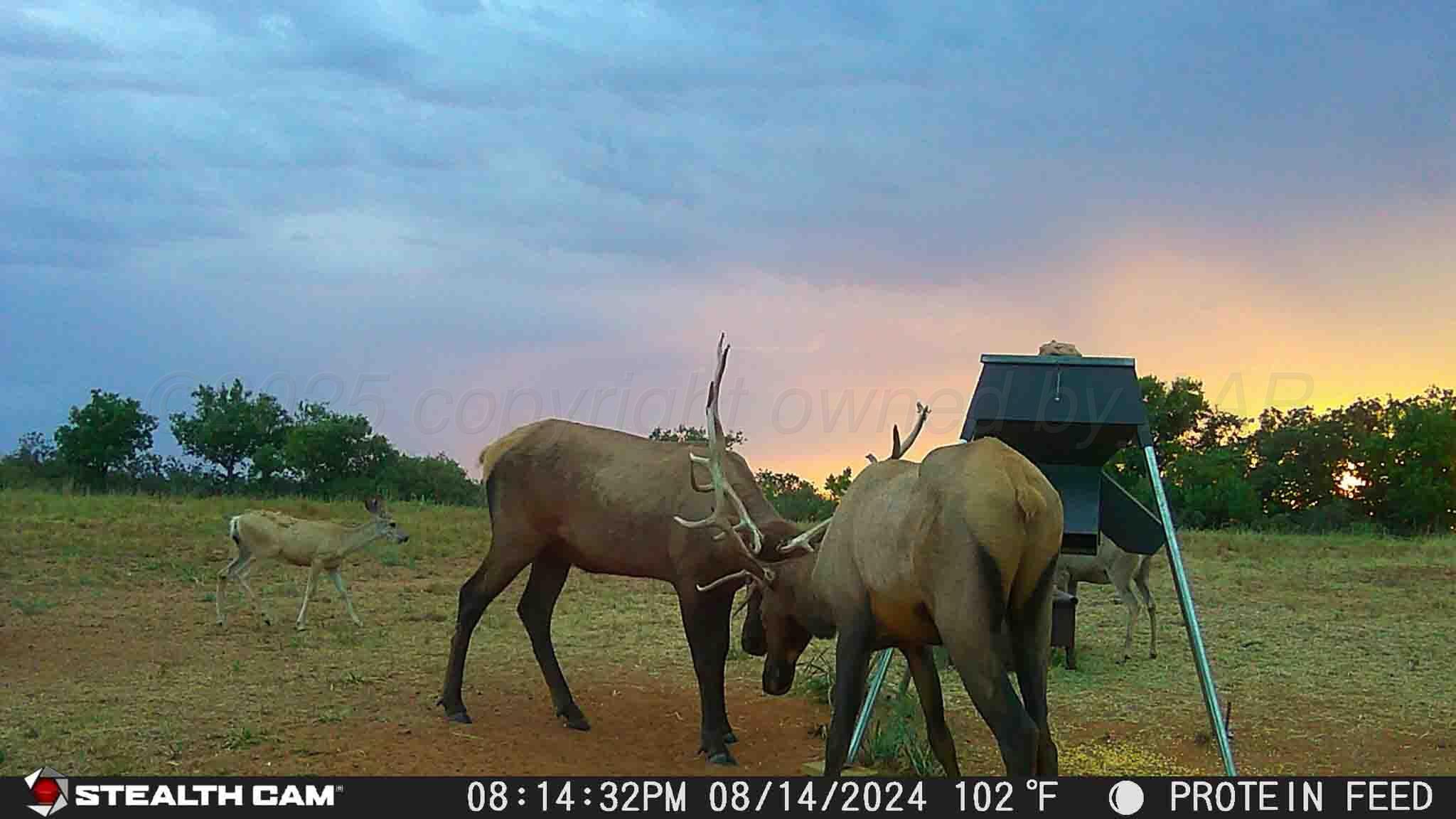 140 Mm Ranch Shamrock, TX 79079 - Photo 68 of 76 a view of yard and outdoor seating