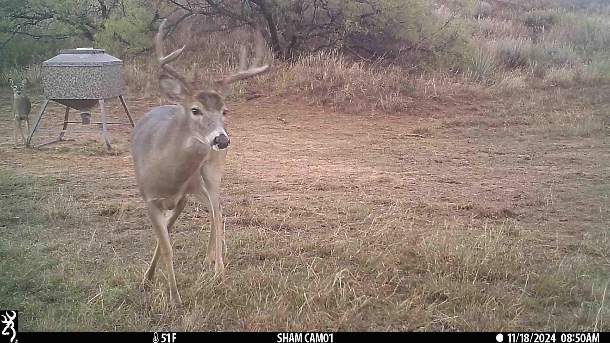 140 Mm Ranch Shamrock, TX 79079 - Photo 71 of 76 MM_Ranch_County_Road_140-71