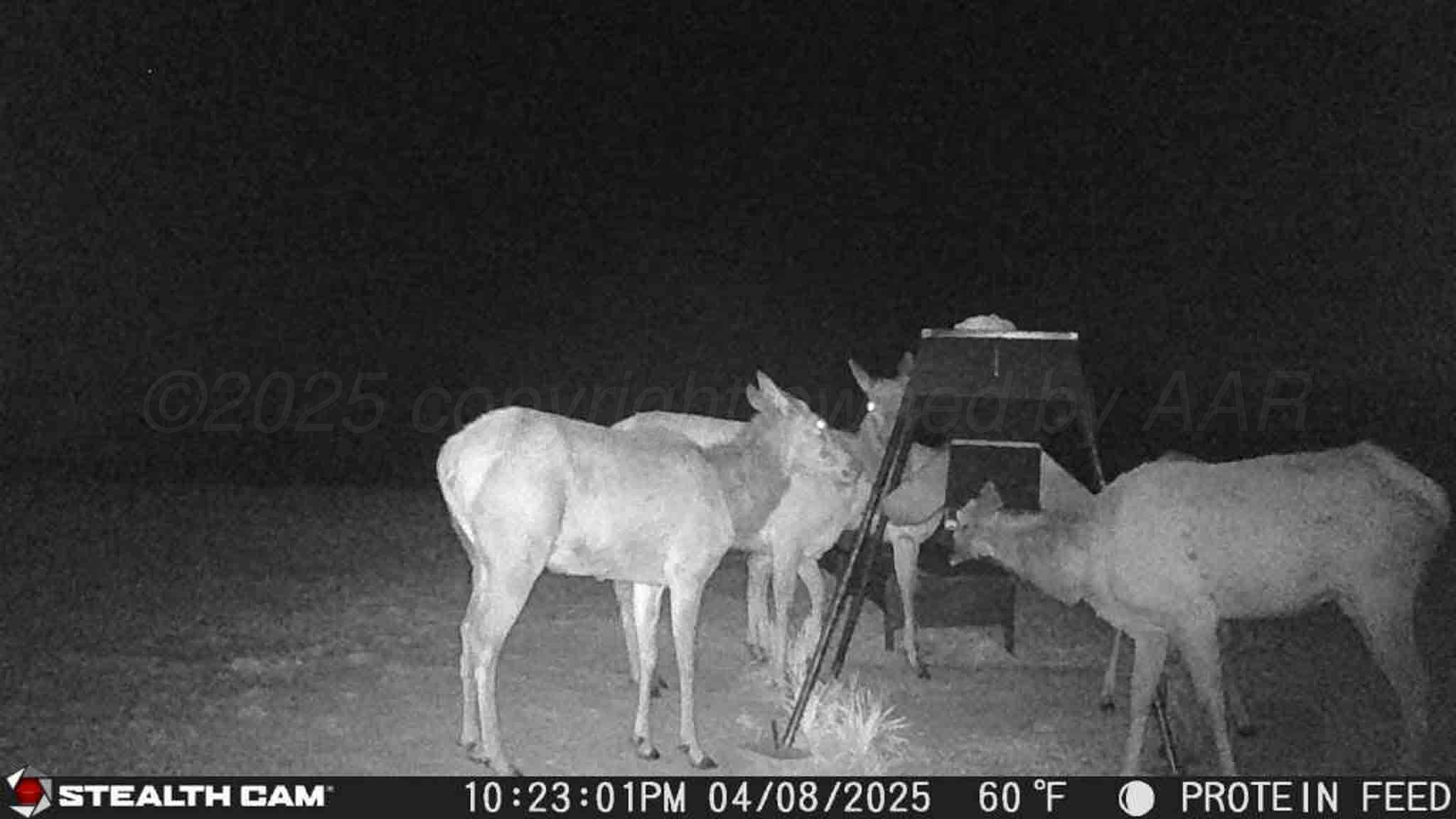 140 Mm Ranch Shamrock, TX 79079 - Photo 75 of 76 a view of a dining room with furniture and wooden floor