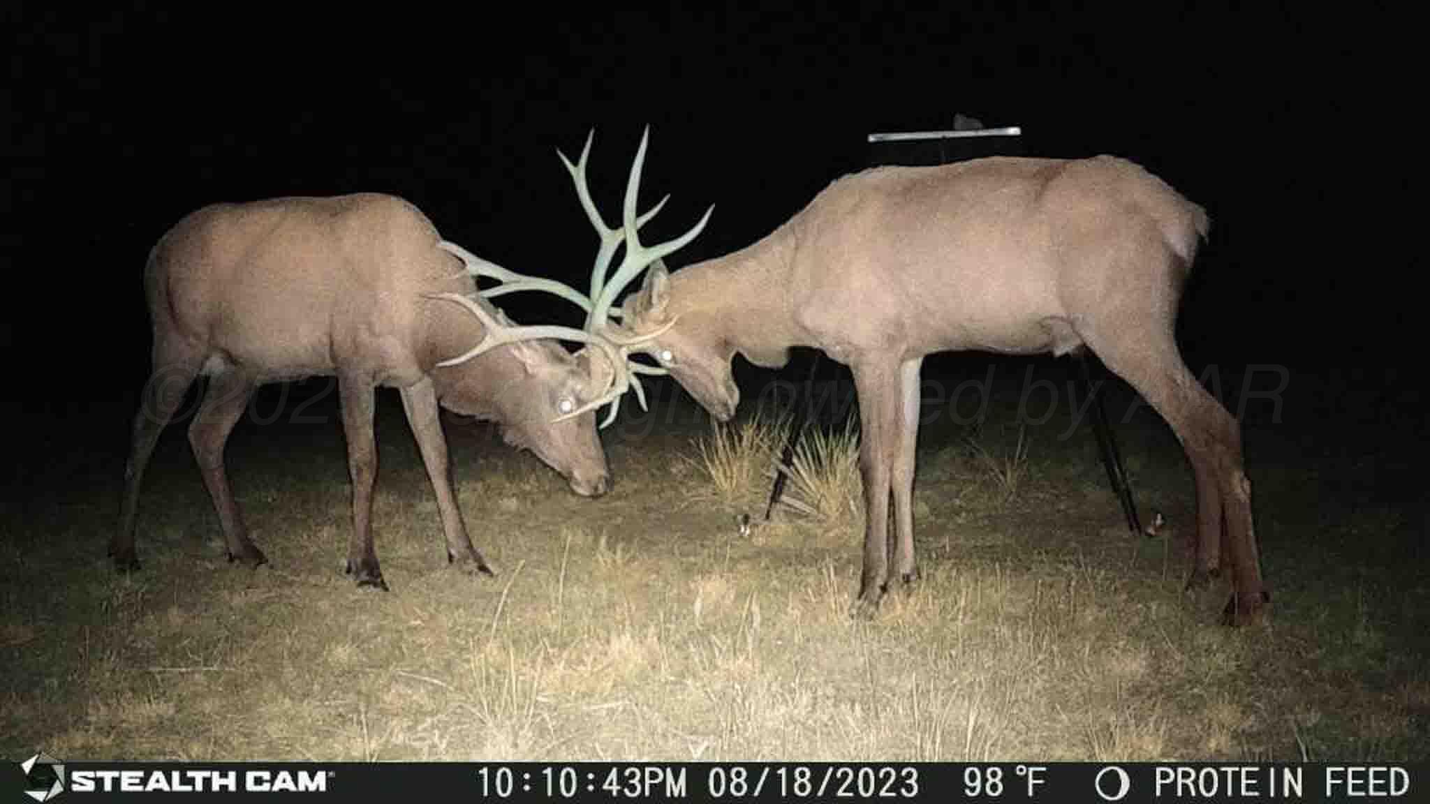 140 Mm Ranch Shamrock, TX 79079 - Photo 76 of 76 MM_Ranch_County_Road_140-86