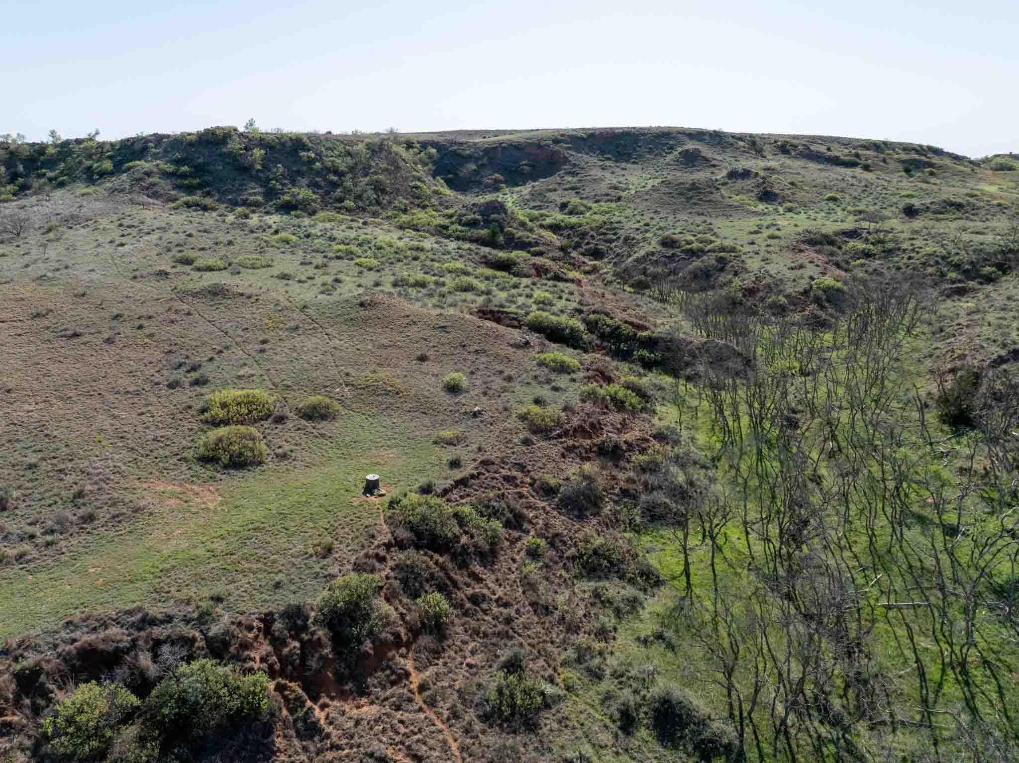 140 Mm Ranch Shamrock, TX 79079 - Photo 10 of 76 a view of a dry field with lots of bushes