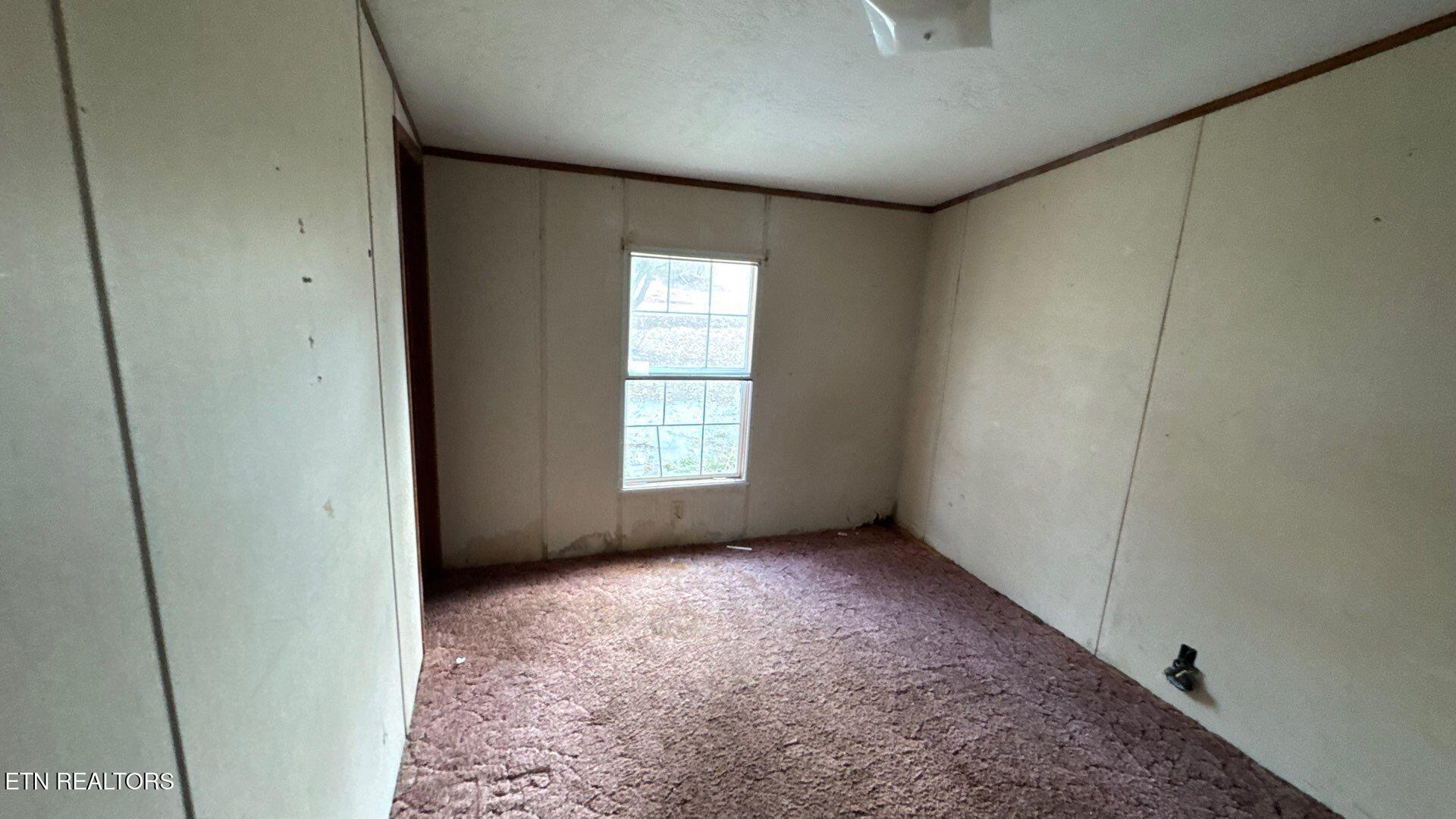 1043 Ray Brown Road Jamestown, TN 38556 - Photo 16 of 20 project_99279925_02192026_1633 (1)