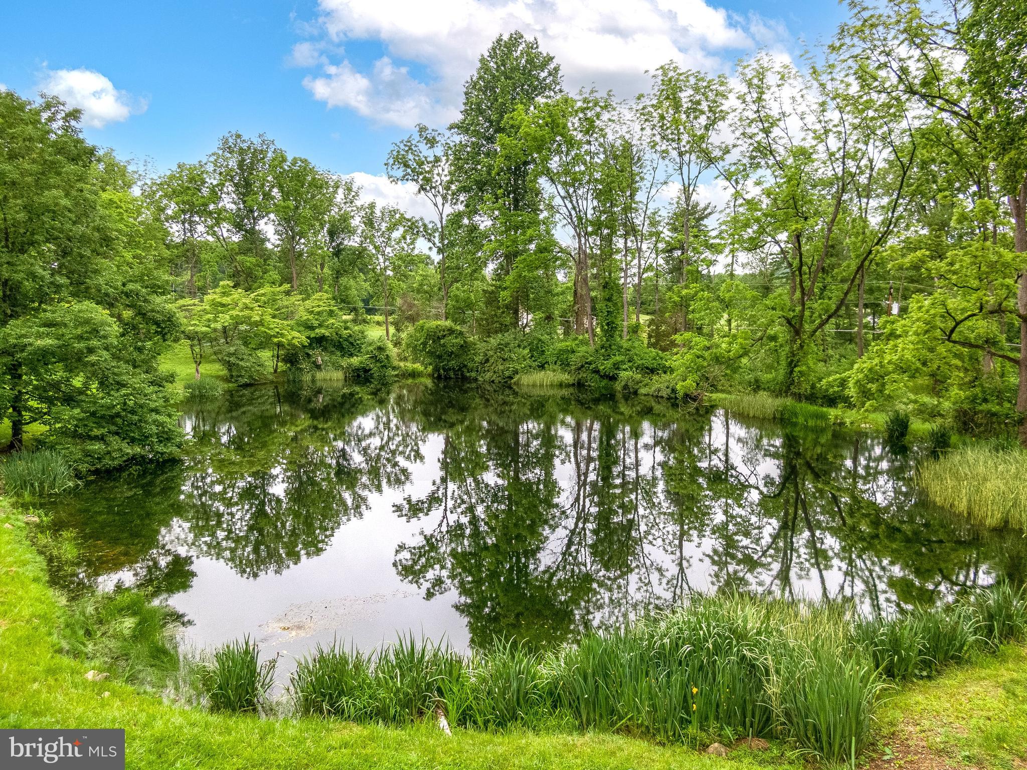 139 Mine Road Oley, PA 19547 - Photo 6 of 86 a backyard of a house