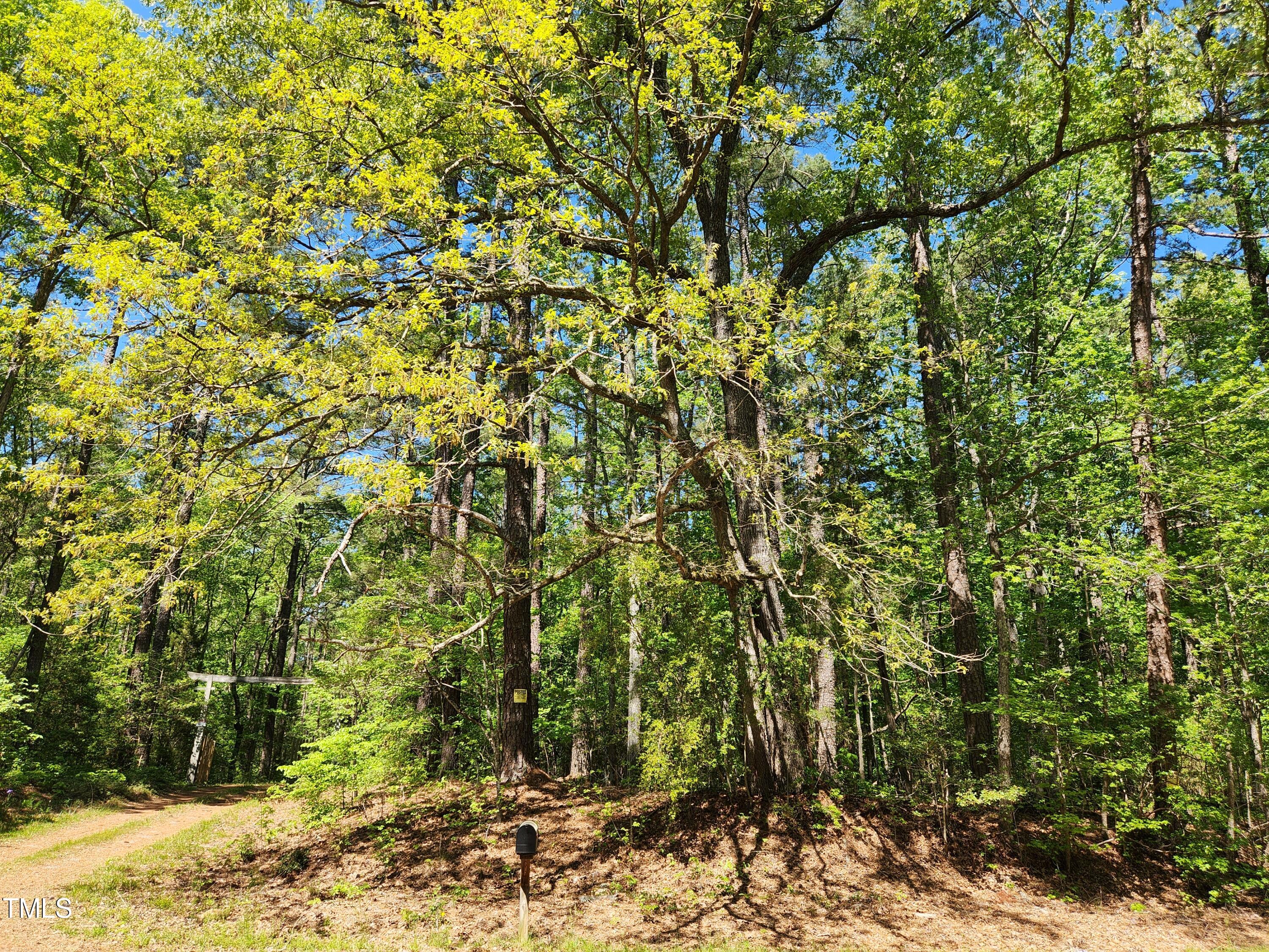 Tbd Center Grove Church Road Moncure, NC 27559 - Photo 1 of 9 lot3_2