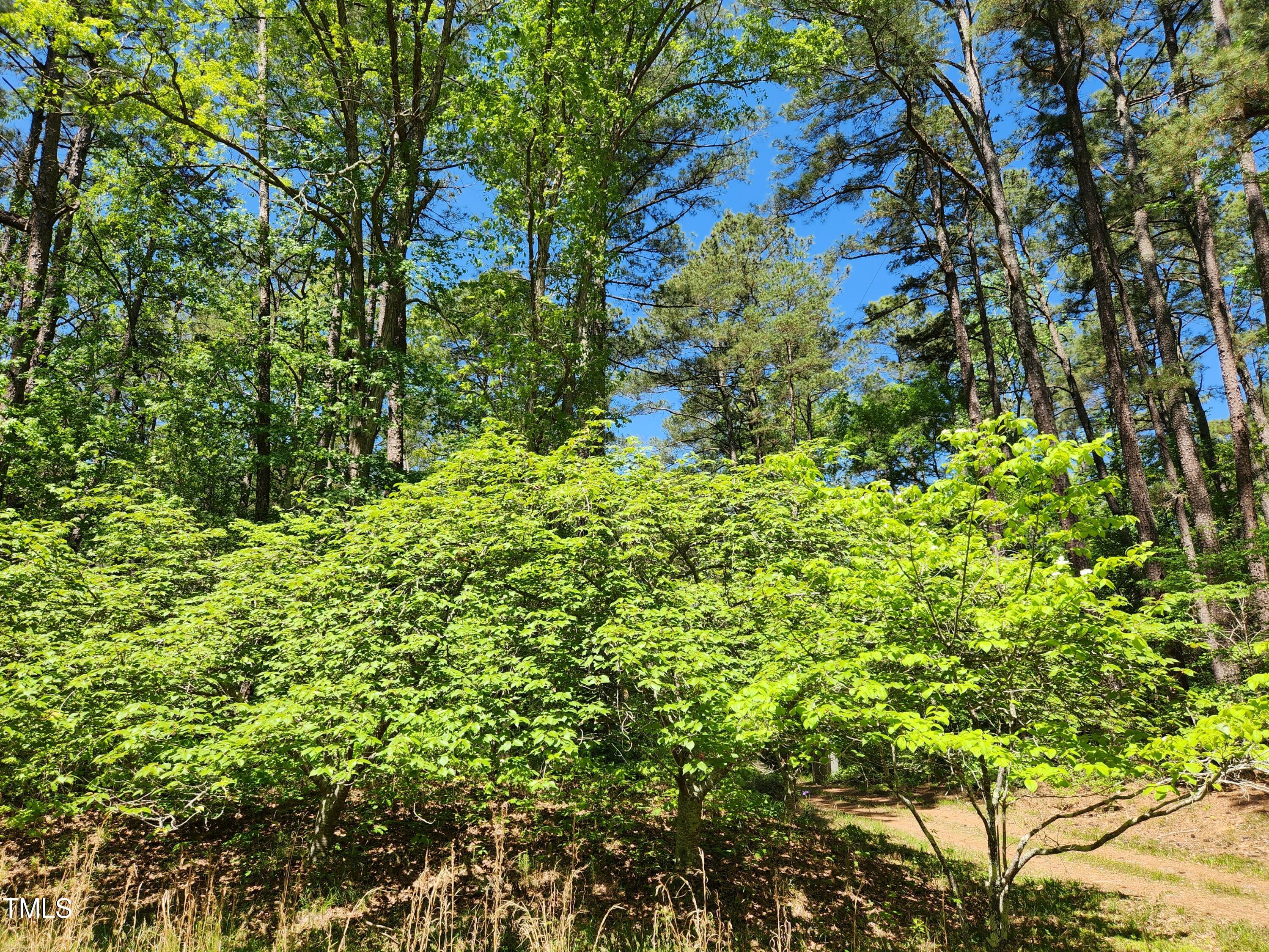 Tbd Center Grove Church Road Moncure, NC 27559 - Photo 2 of 9 lot3_3