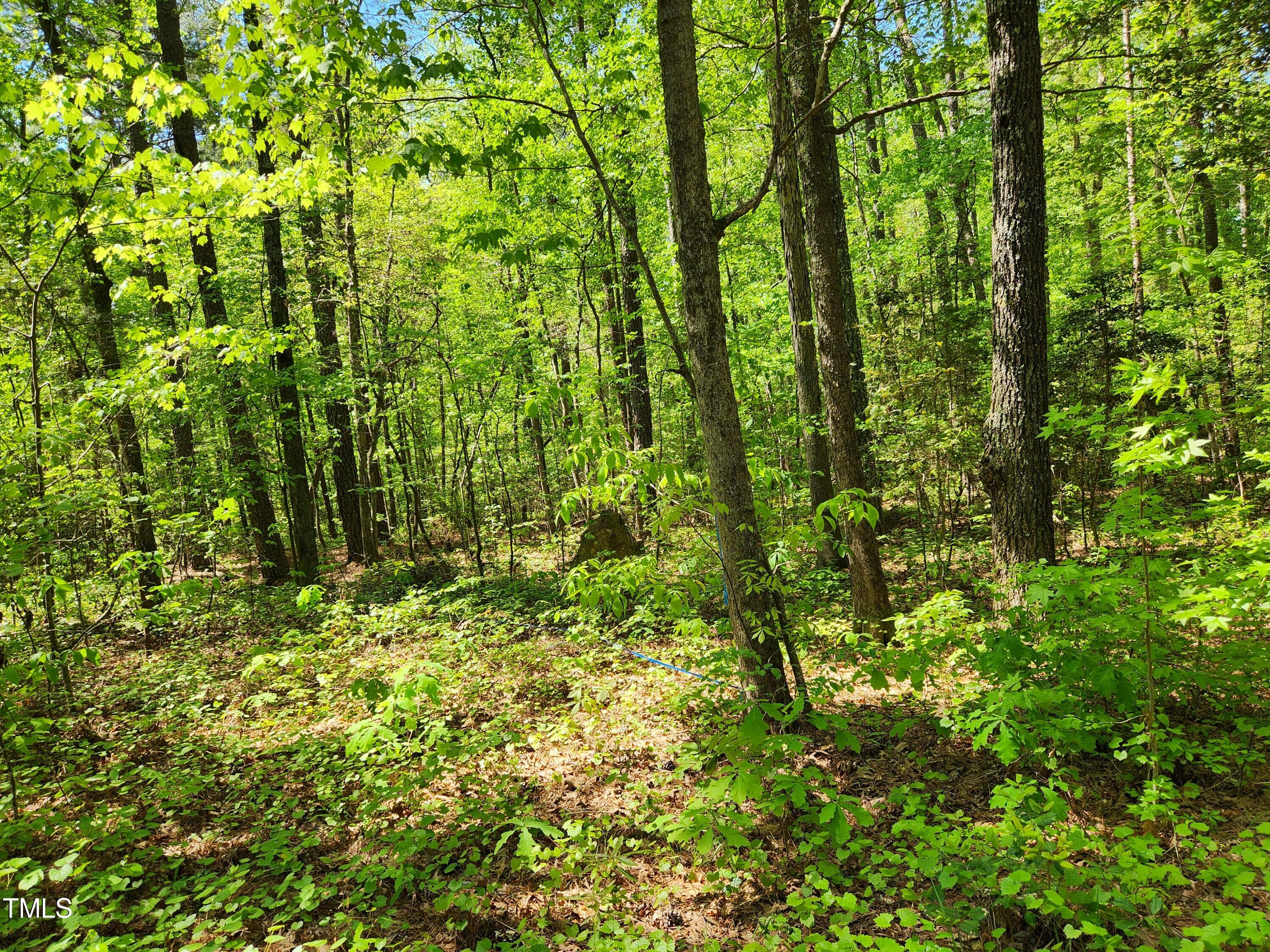 Tbd Center Grove Church Road Moncure, NC 27559 - Photo 4 of 9 lot3_5