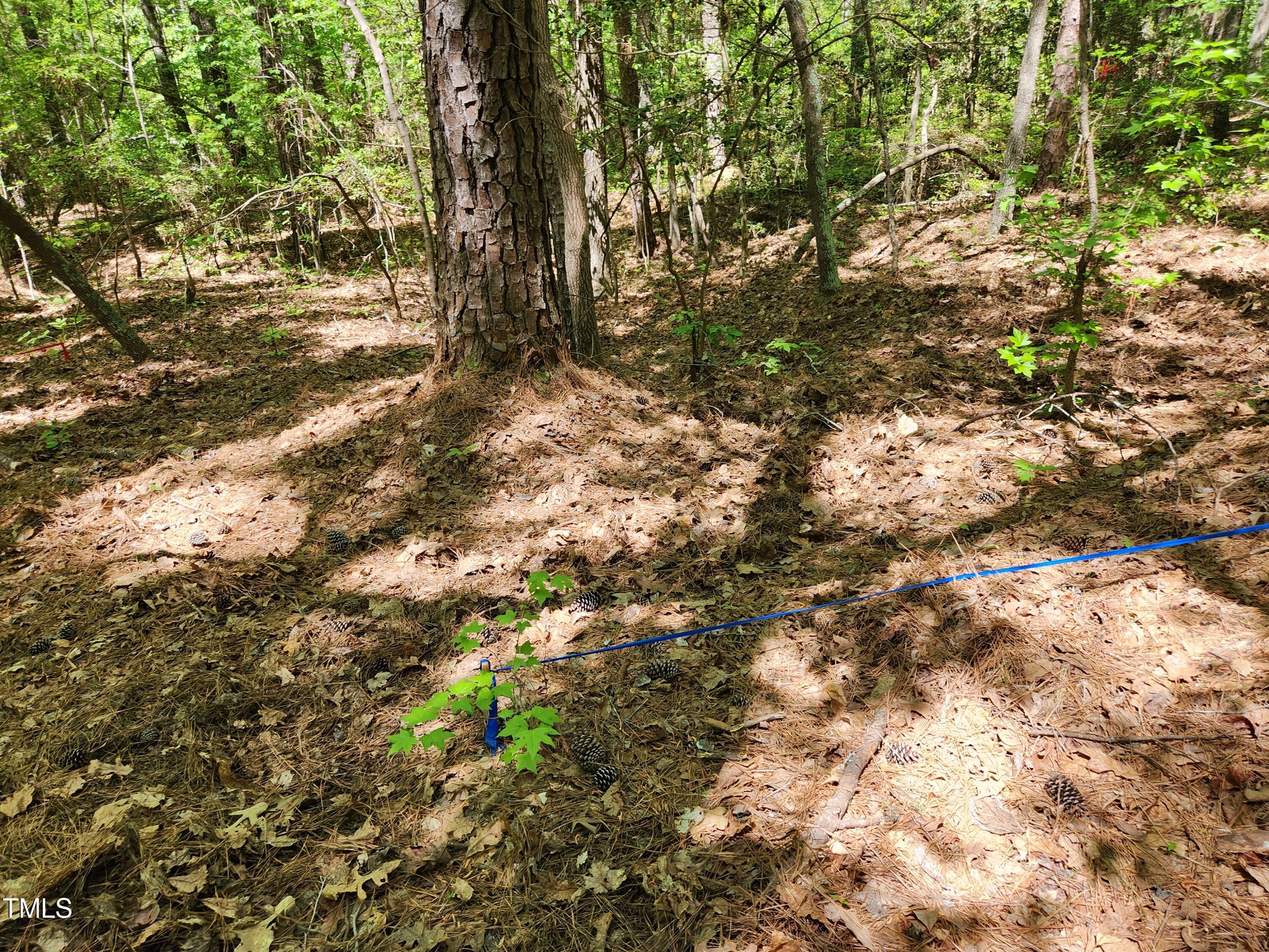 Tbd Center Grove Church Road Moncure, NC 27559 - Photo 5 of 9 lot3_6