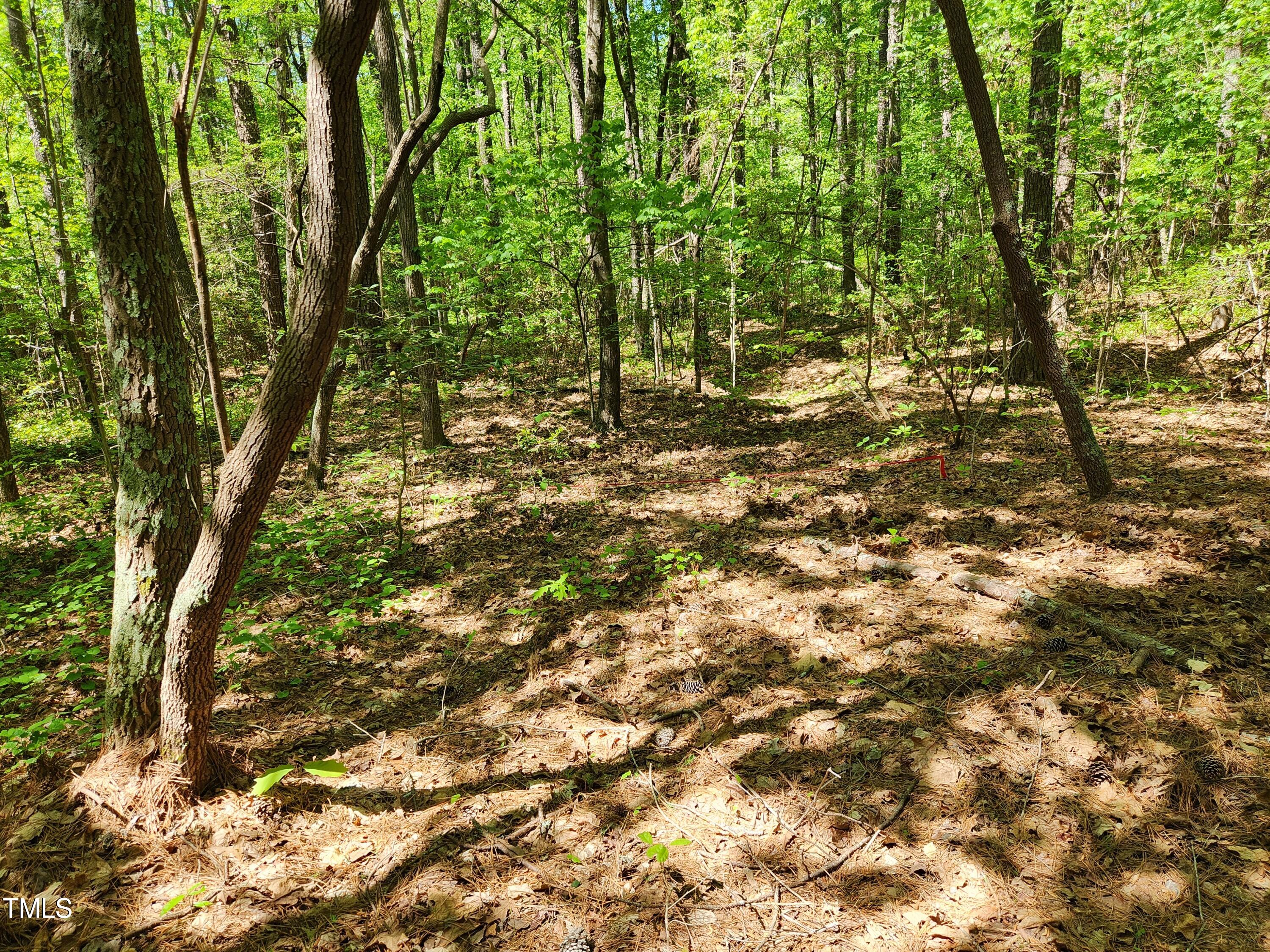 Tbd Center Grove Church Road Moncure, NC 27559 - Photo 6 of 9 lot3_7