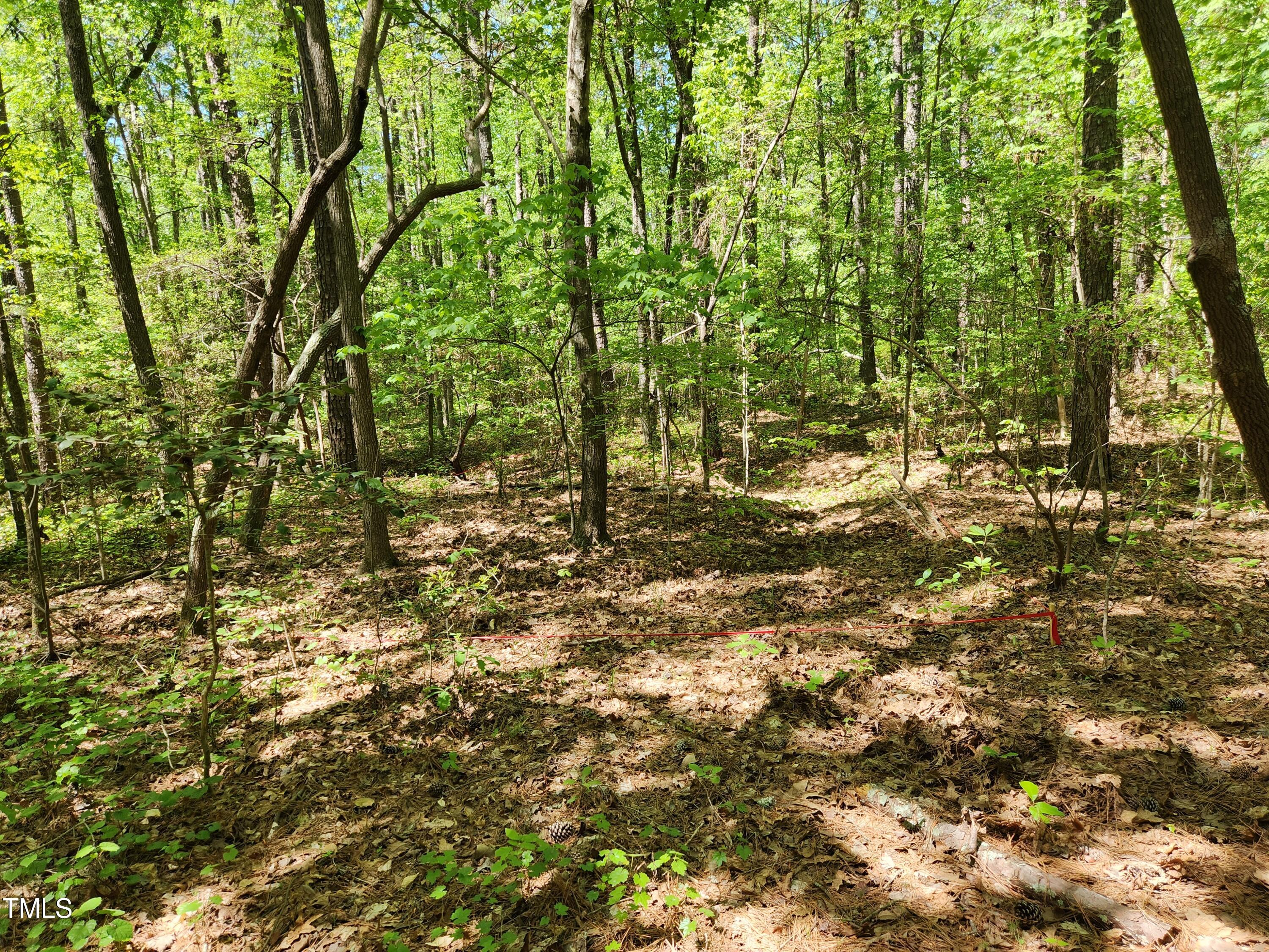 Tbd Center Grove Church Road Moncure, NC 27559 - Photo 7 of 9 lot3_8