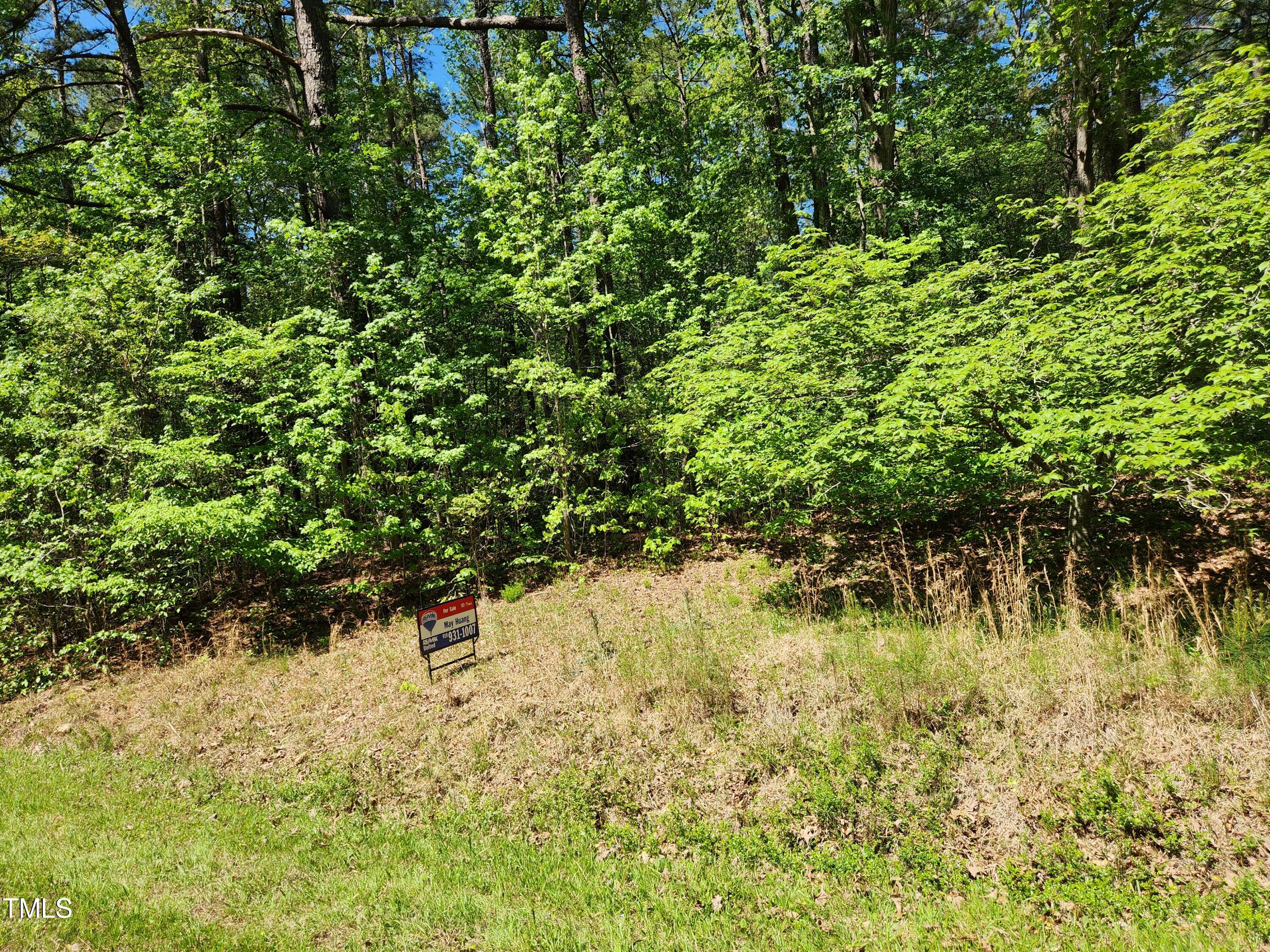 Tbd Center Grove Church Road Moncure, NC 27559 - Photo 8 of 9 lot3_9