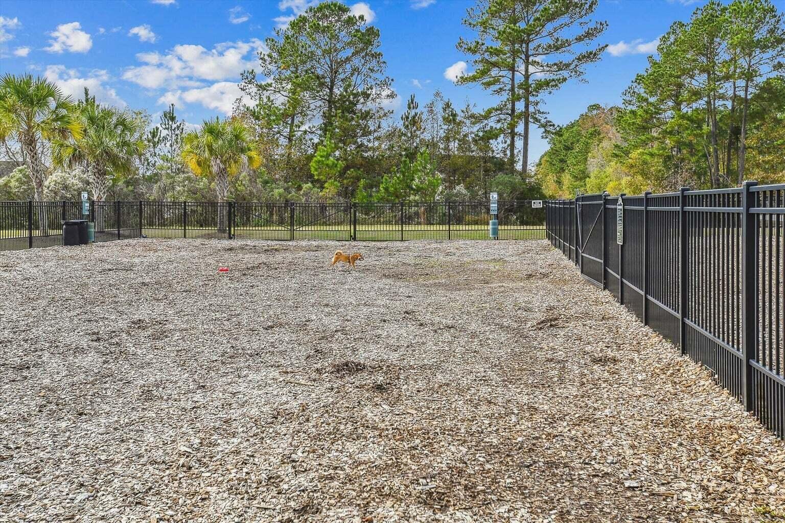 406 Allamby Ridge Road Moncks Corner, SC 29461 - Photo 49 of 51 Allamby7