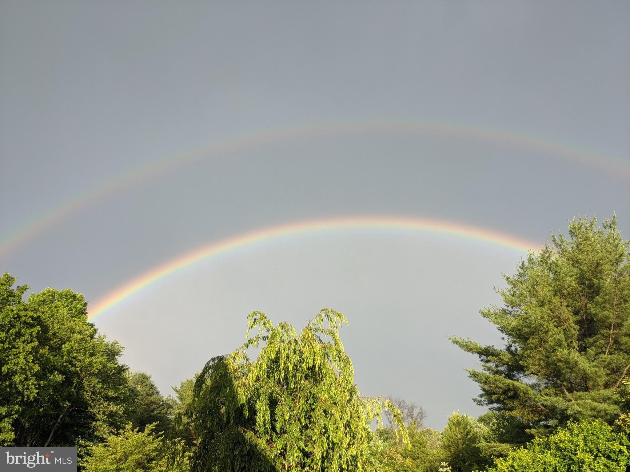 11930 Hall Shop Road Clarksville, MD 21029 - Photo 41 of 50 Rainbow
