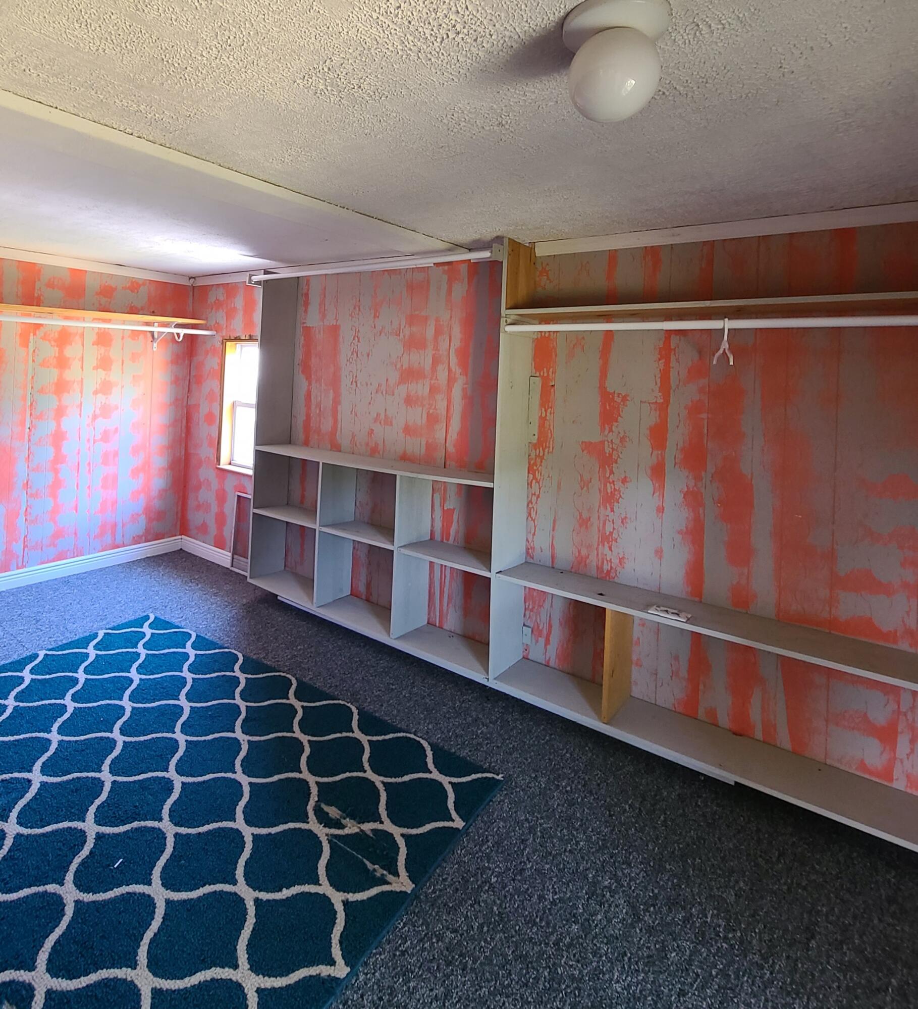 7607 Pendell Road Middleton, MI 48856 - Photo 25 of 47 Walk in Closet